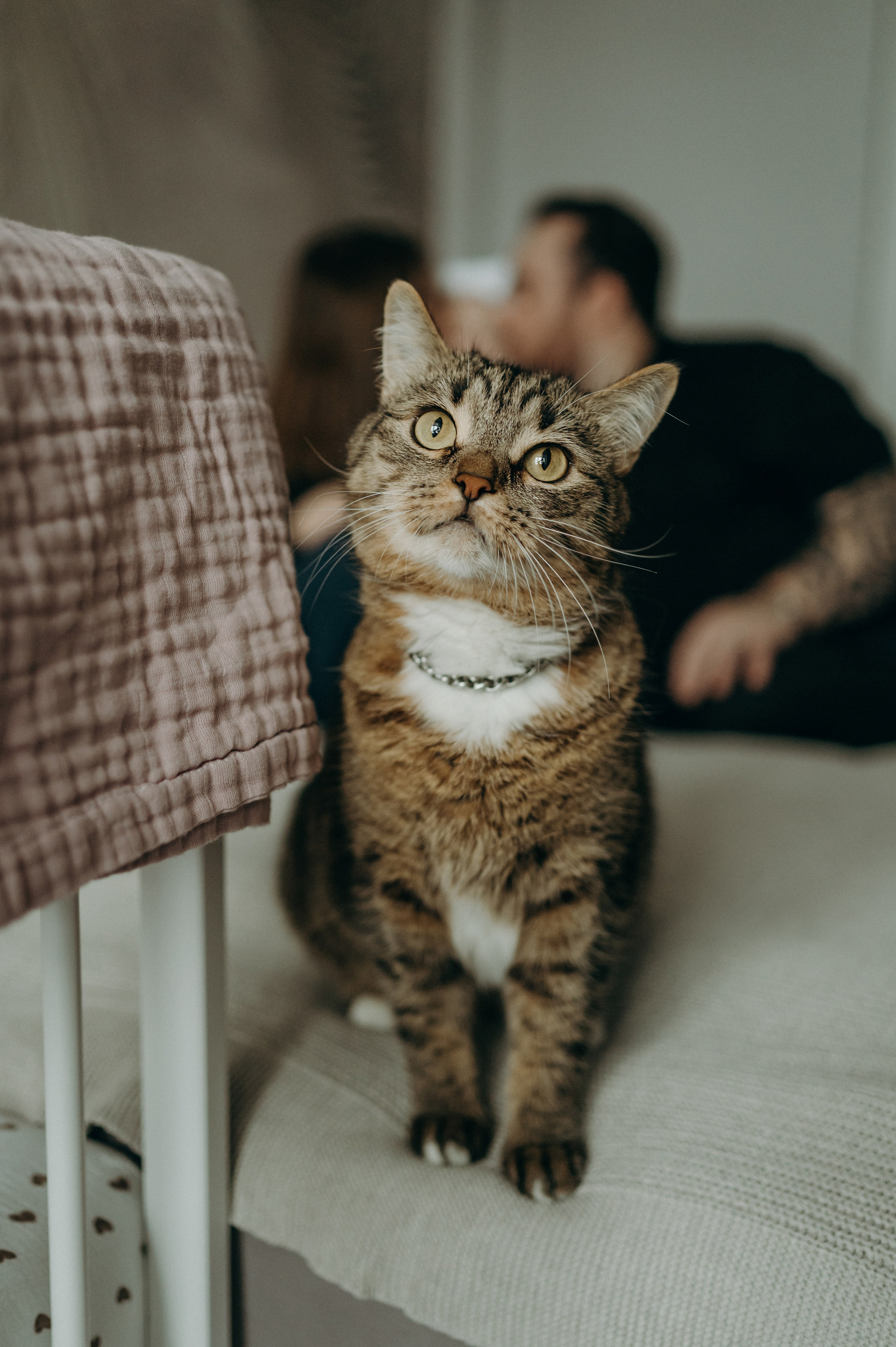 Агата, Катя, Руслан. Свадебный фотограф, фотограф беременности Дарья Доценко