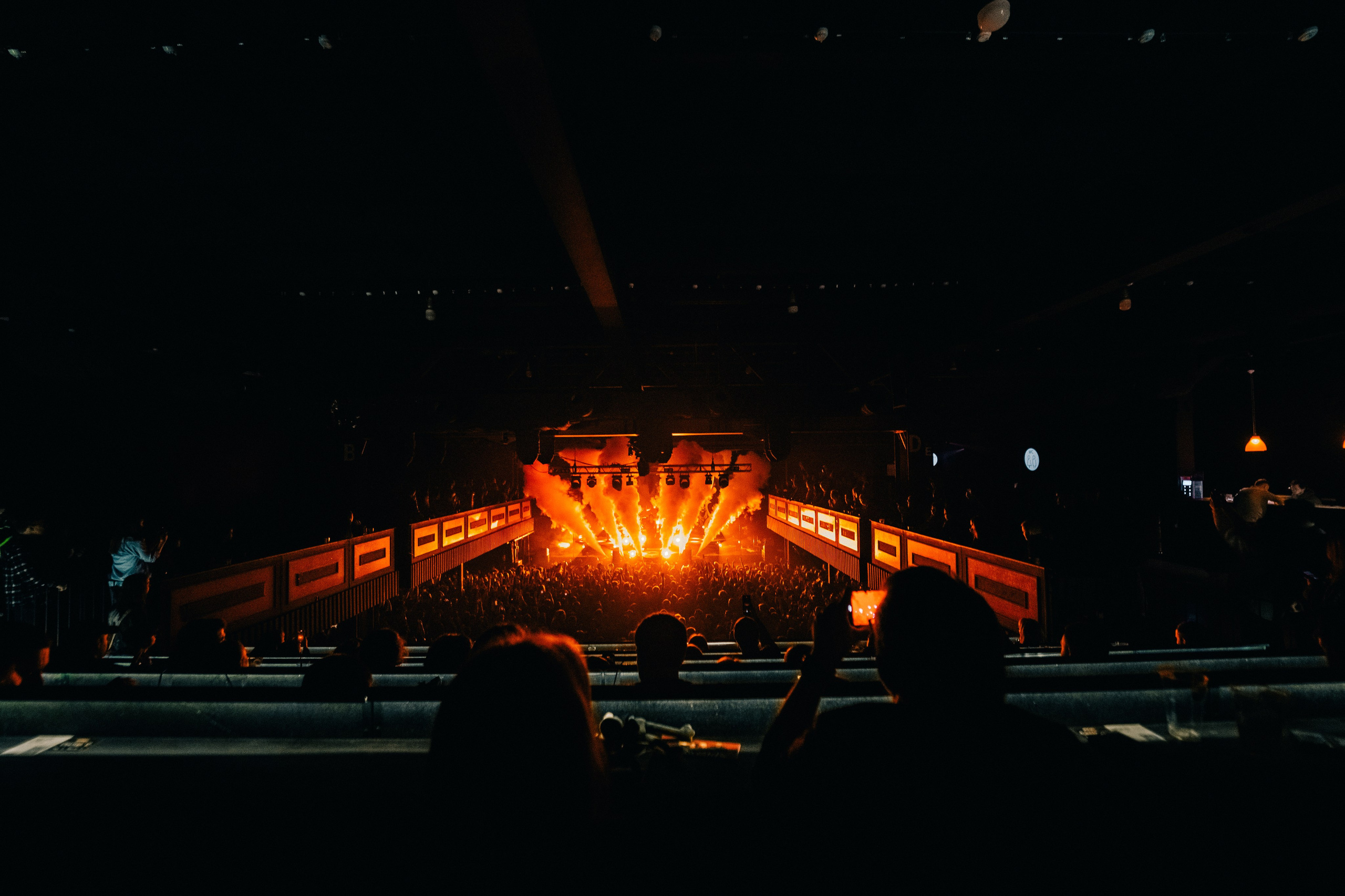 WILDWAYS. PASHAHARCE PHOTOGRAPHER & VIDEOGRAPHER