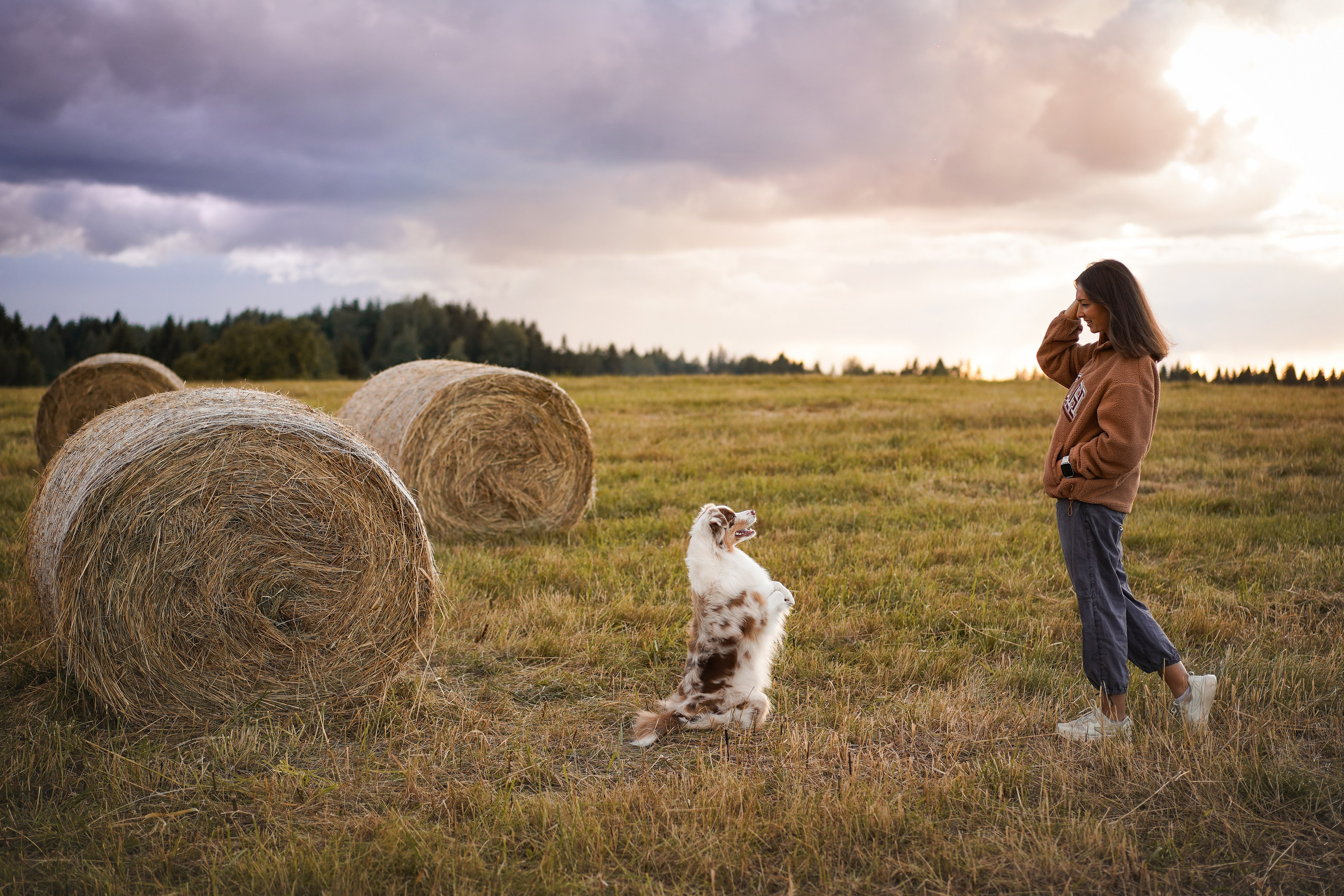 Панда и стога. Фотограф-анималист в Санкт-Петербурге Яна Мартынова