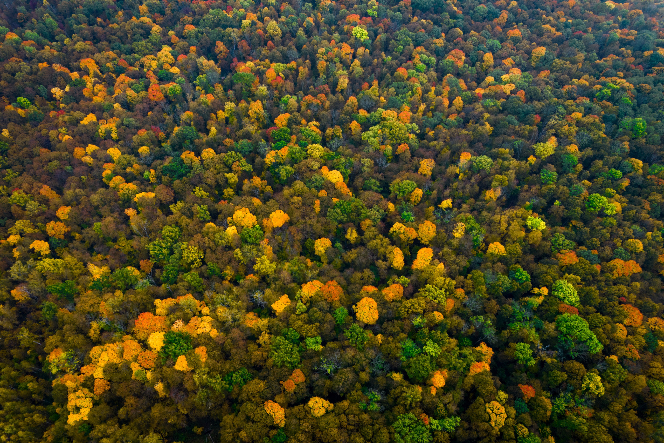 Оз. Новое. Груманты. Николай Брытков — фотограф в Туле