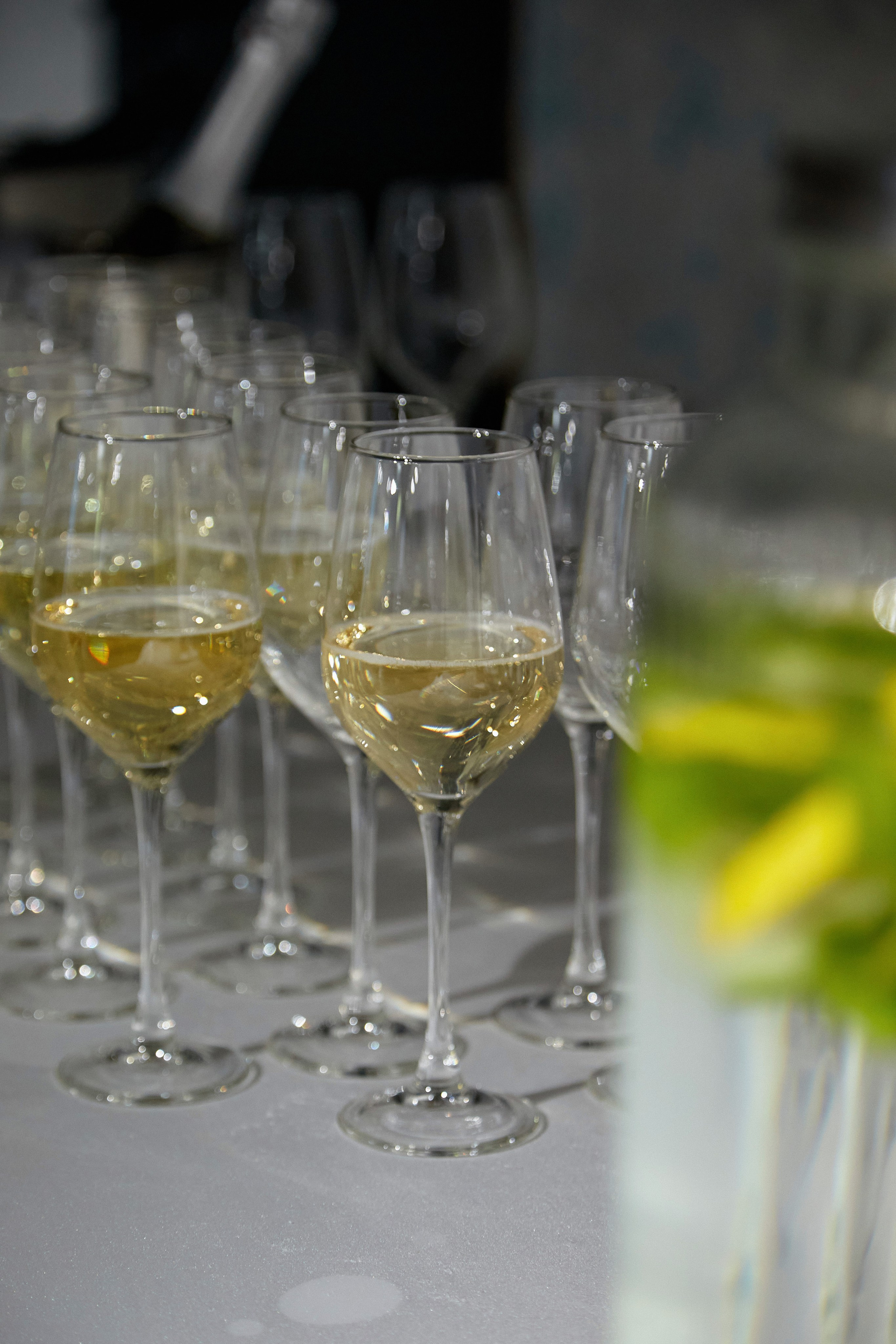 Publik talk «Честное слово». DENISOV ART (фото, видео, дизайн) САМАРА