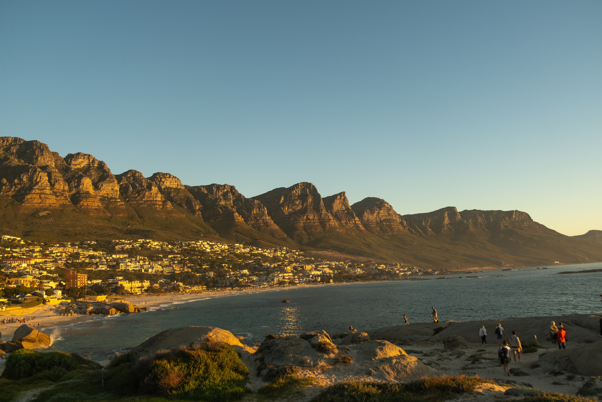 Пингвины и другие. Фотографии из путешествий