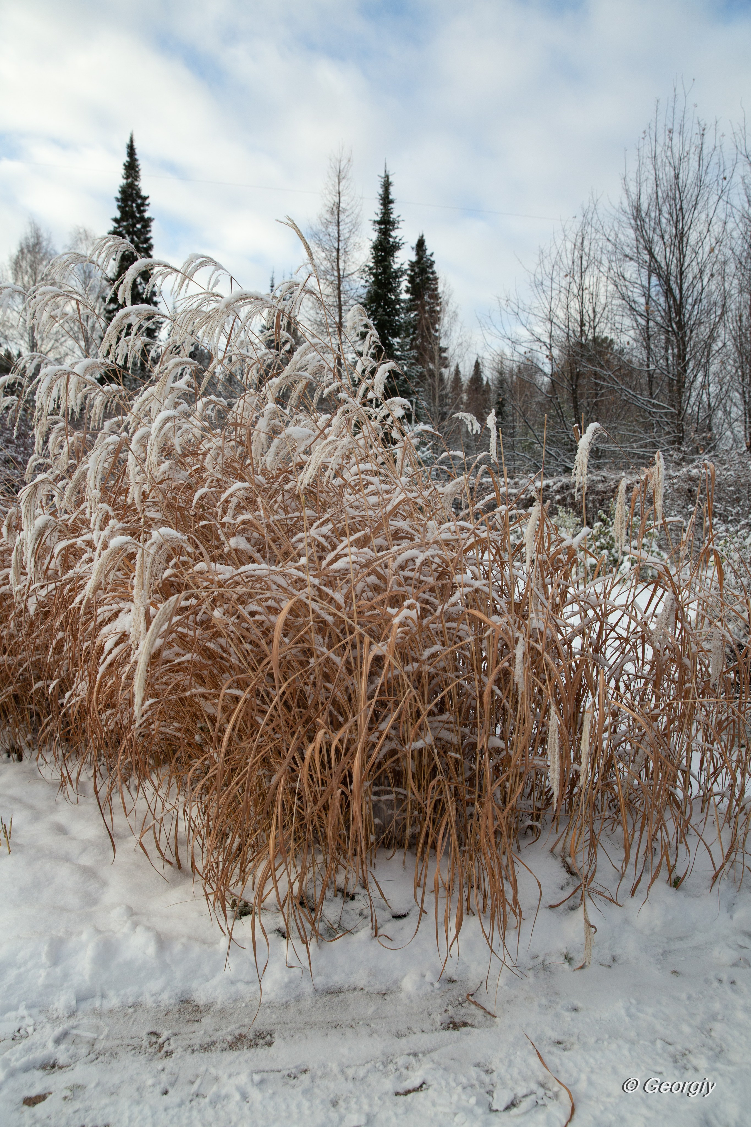 Тобольск. Мой фотомир