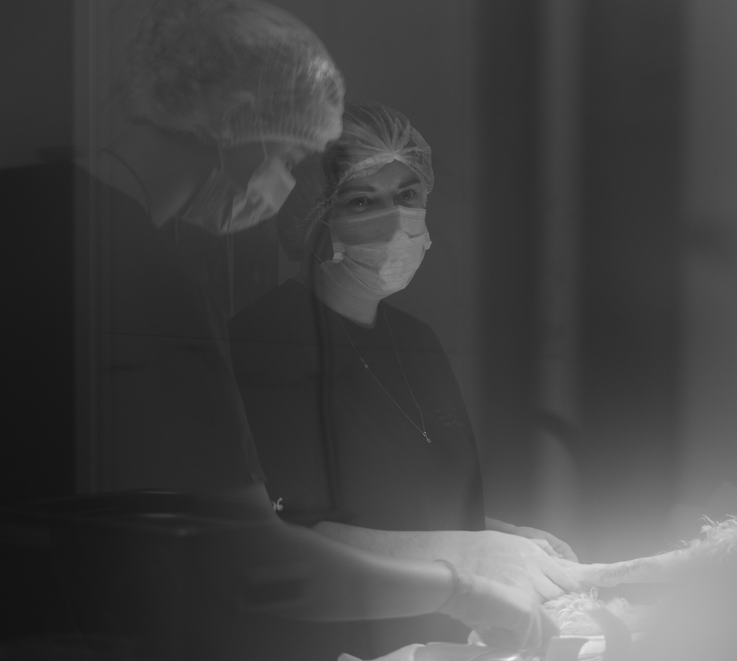 VetLife. Татьяна Афонина | Фотограф