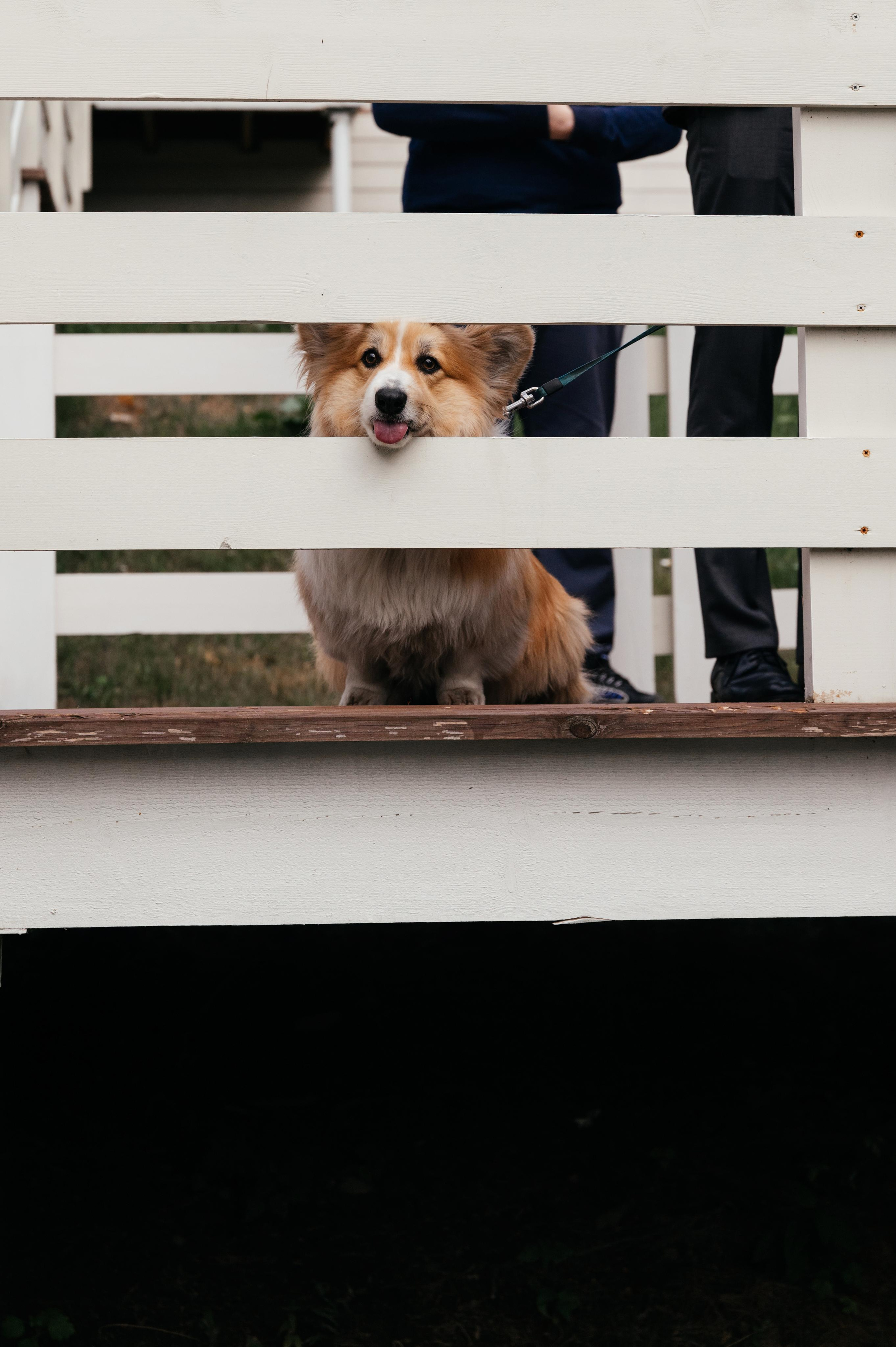 Wedding and family photographer in Dubai Vasilii Albul