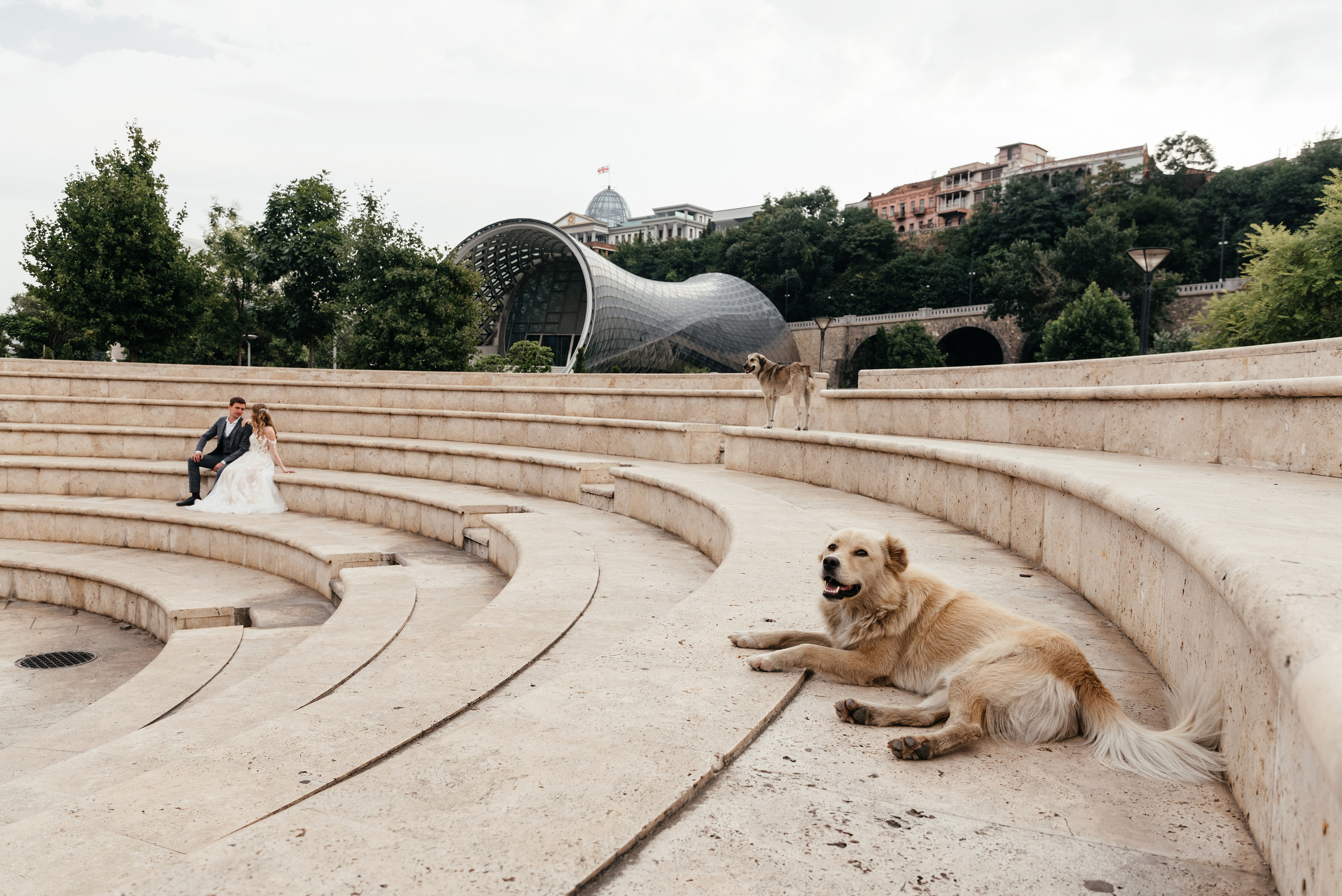 Wedding and family photographer in Dubai Vasilii Albul