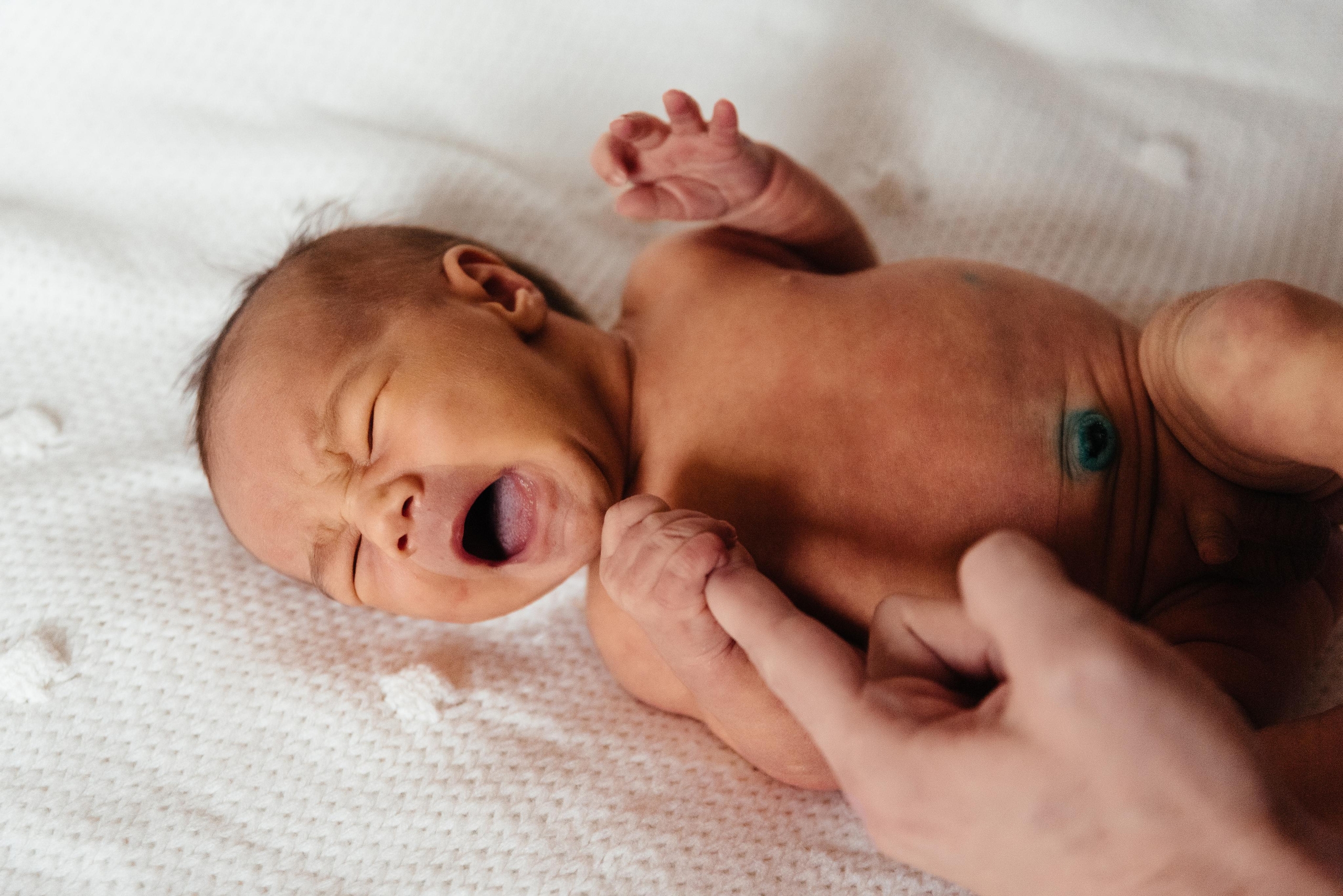 Wedding and family photographer in Dubai Vasilii Albul