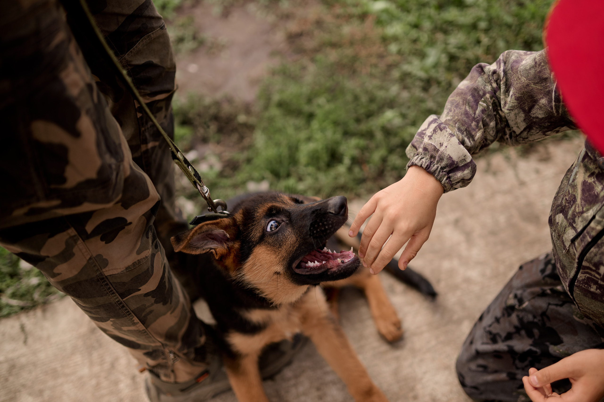 4 этап кубка Ракета 2025 год. Сергей Богомолов. Свадебный и семейный фотограф