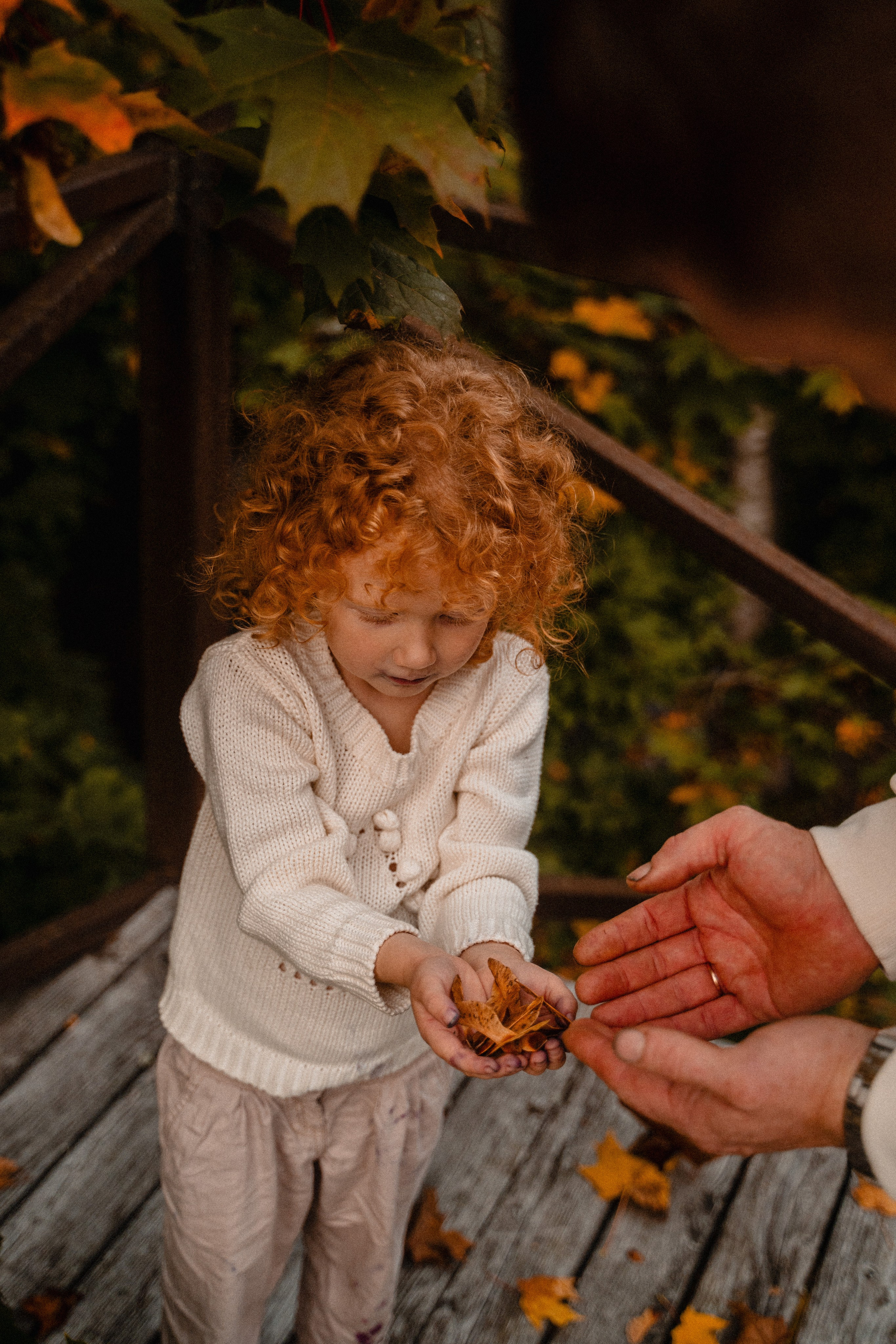 Осенью в лесу!. Бренд и контентные фотосессии, портреты и лавстори в Санкт-Петербурге