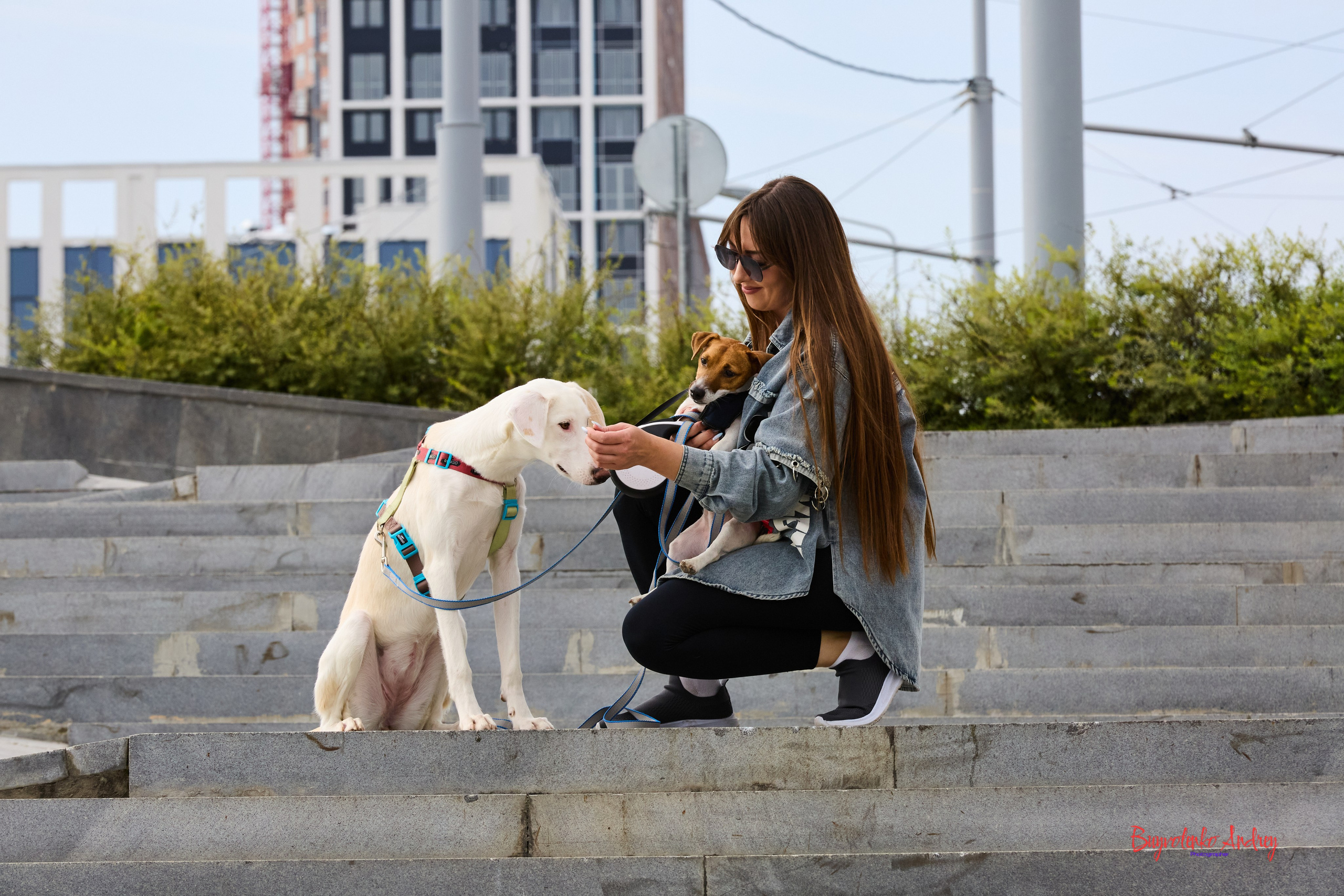 Проект фотопрогулка с хвостиком. Buyvolenko Andrey