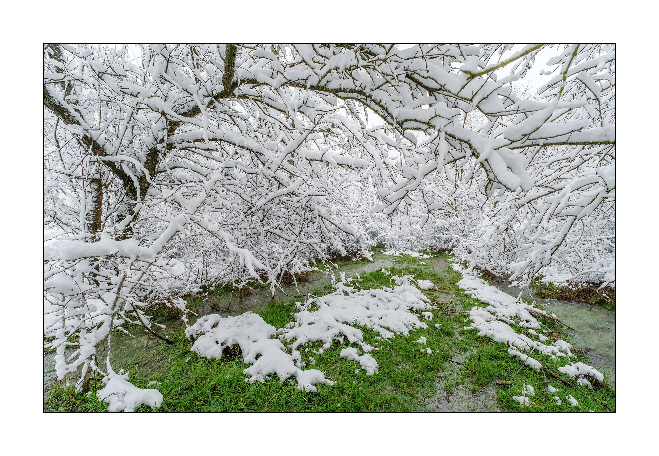 фотограф Геленджик