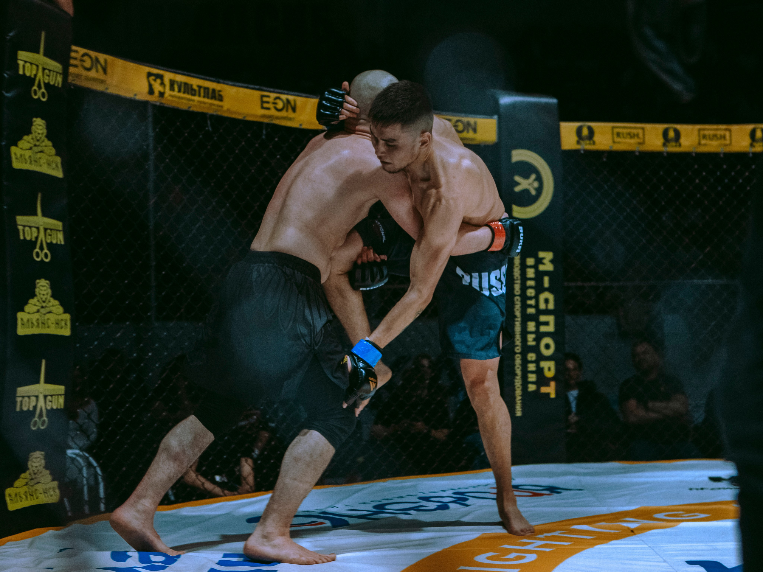 SFL 17 | Siberian Fighting League. Портретный фотограф в Москве Дарья Цезария