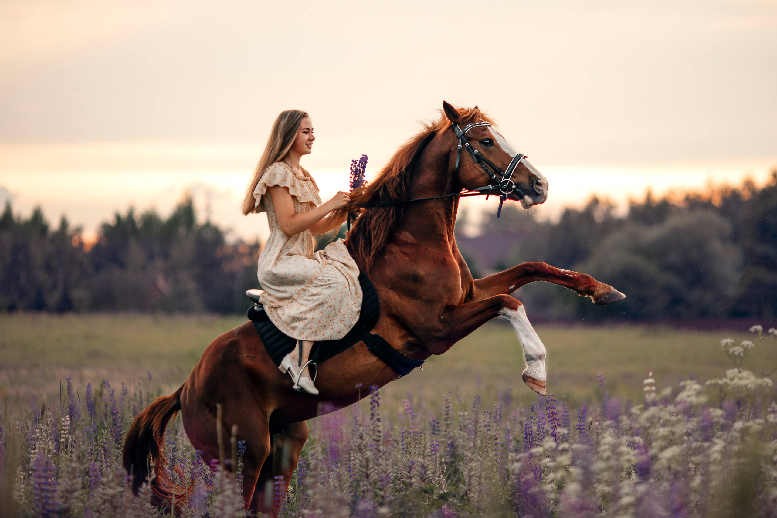 Съемки с лошадьми. Семейный фотограф Москва и область Дербунова Елена