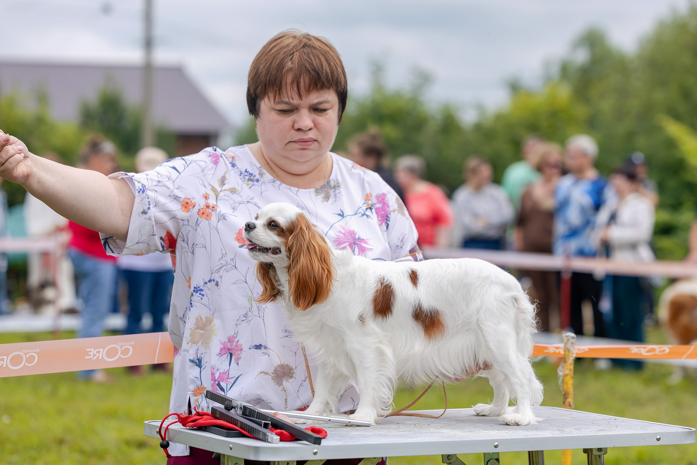 28 июня 2025, Выставка РКФ, г. Кунгур. Htykk_photo