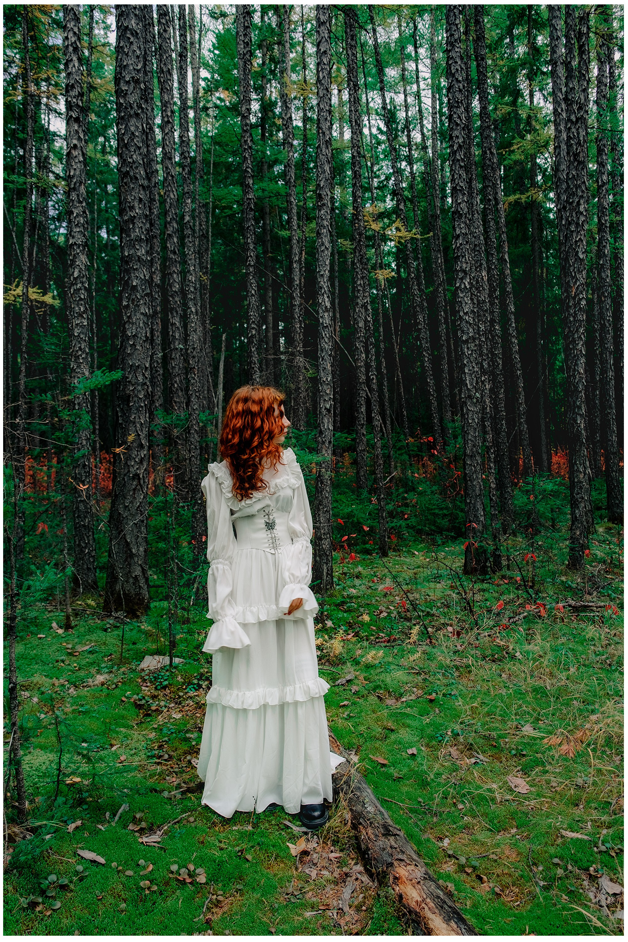 Осень. ФОТО