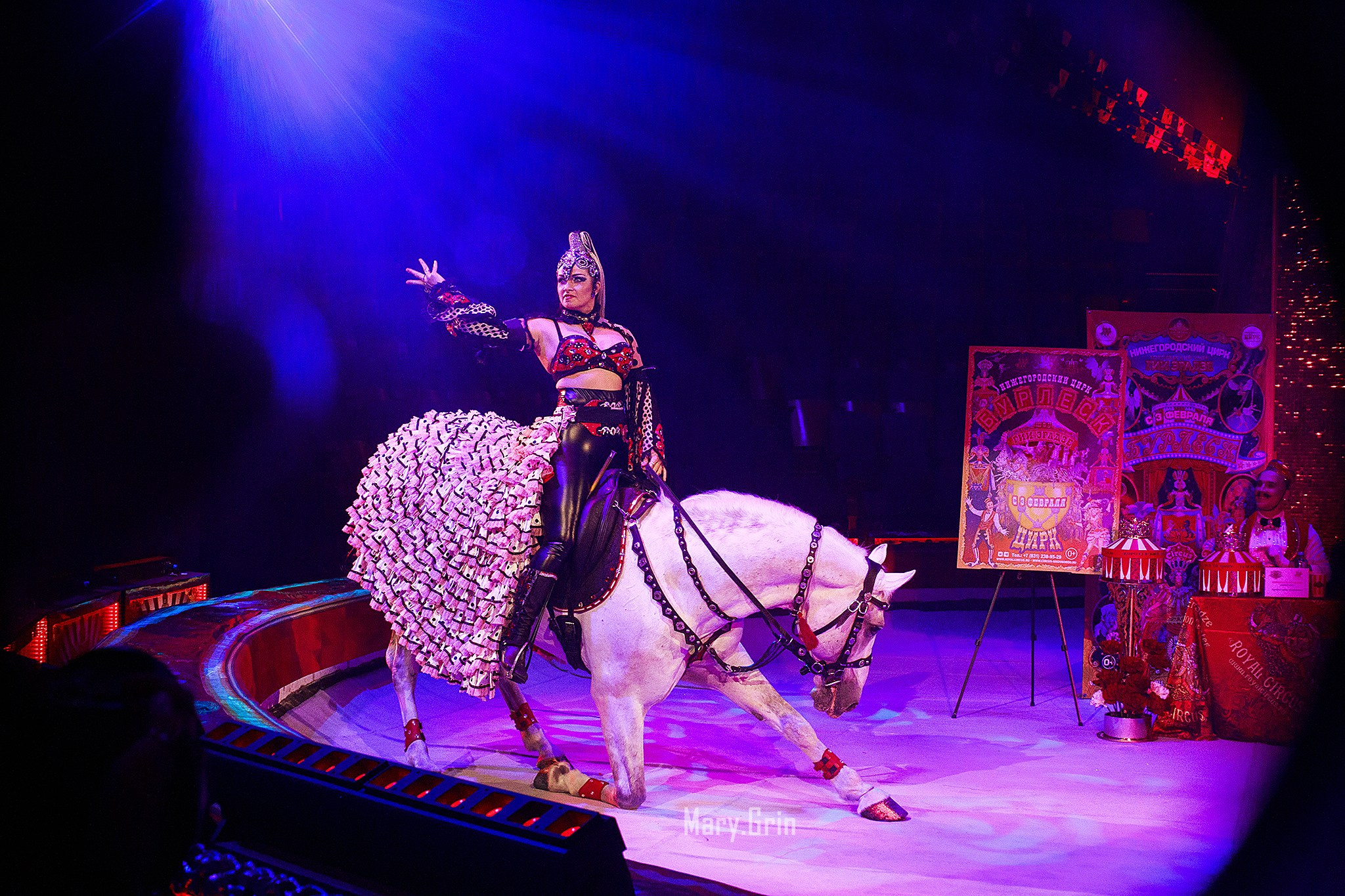 Цирк Гии Эрадзе. Детский и семейный фотограф, фотограф мероприятий Нижний Новгород