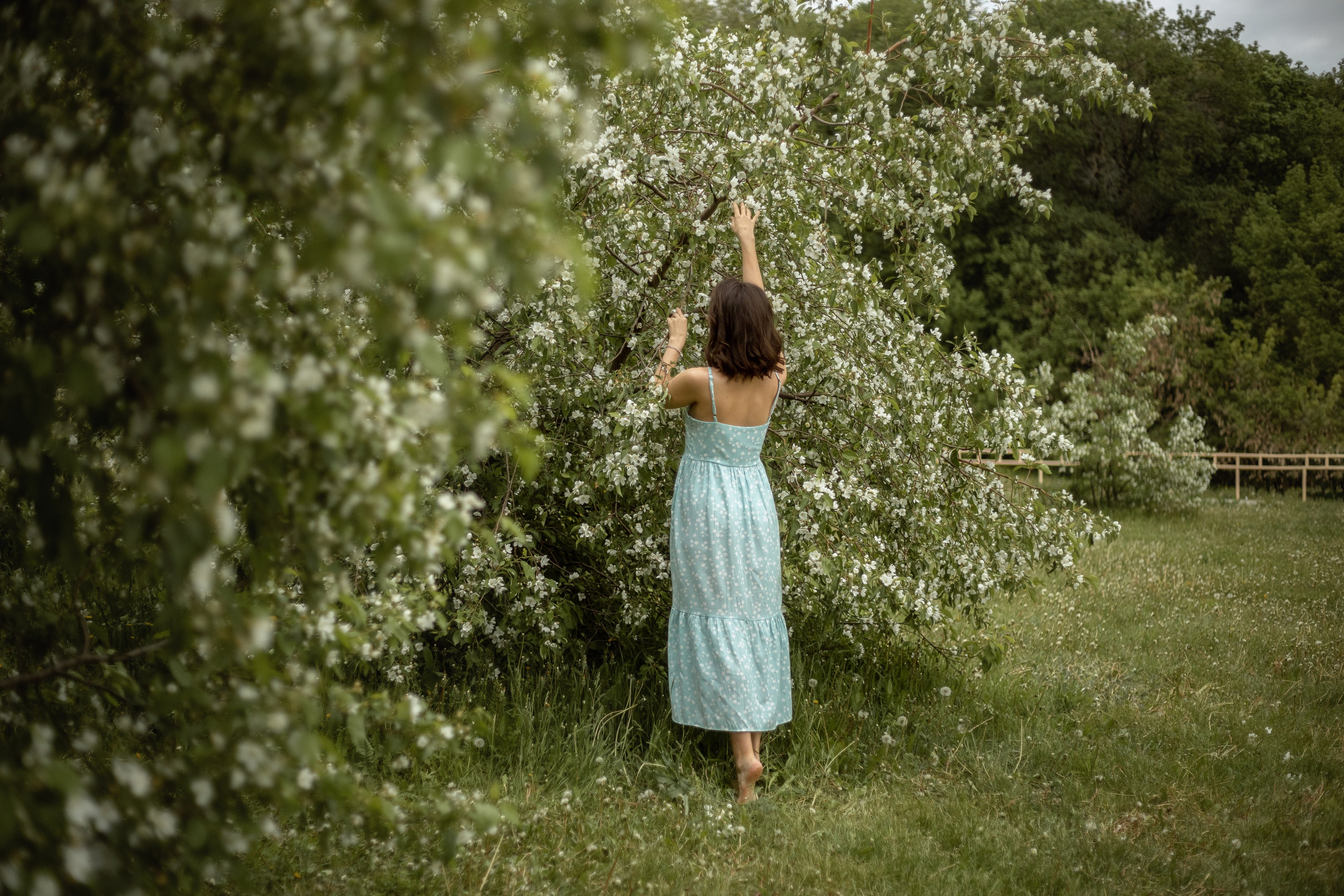 Настя цветение. Детский и семейный фотограф г. Чебоксары Оля Горбунова