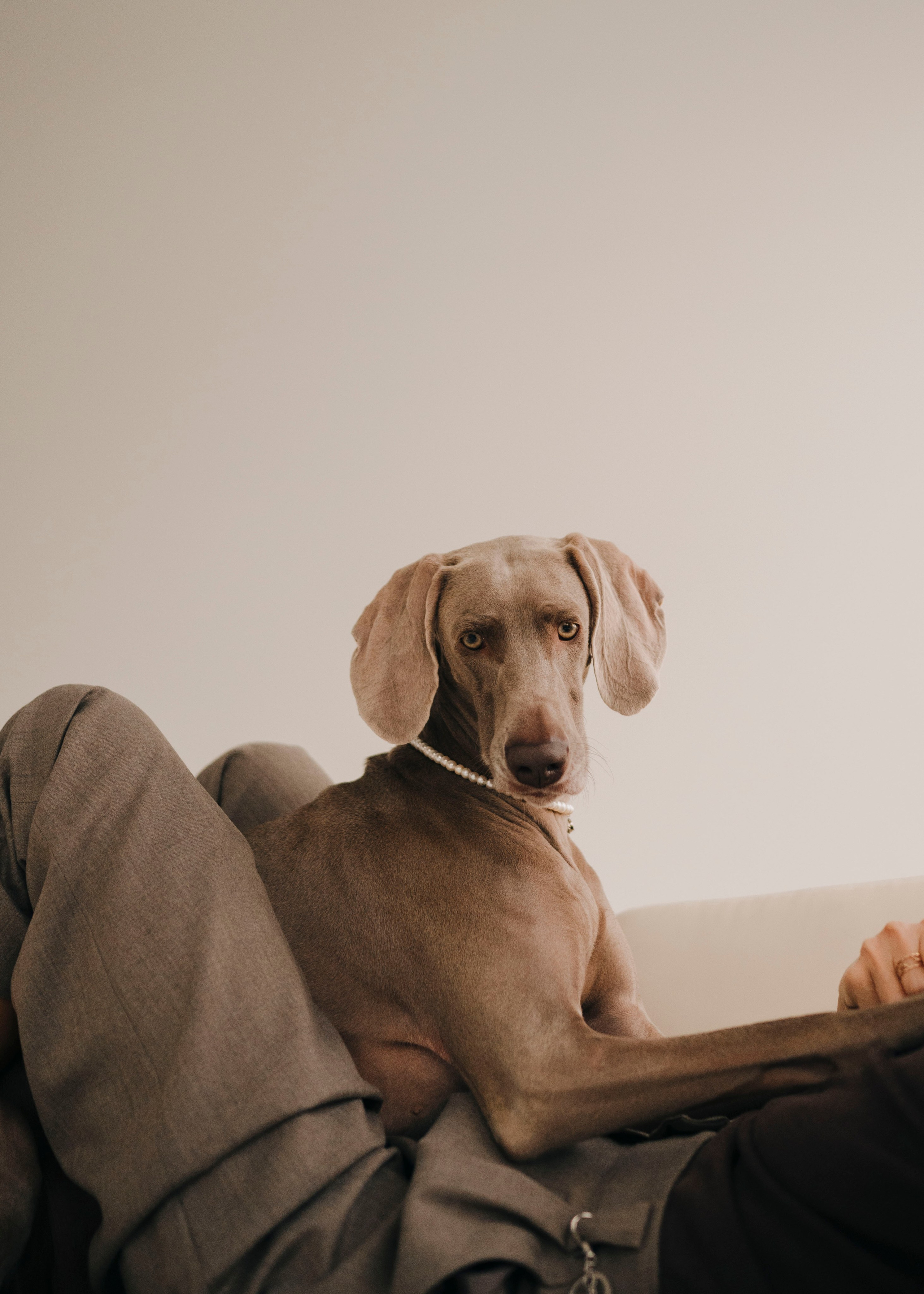 Фани. Фотограф- анималист Александра Матвеева