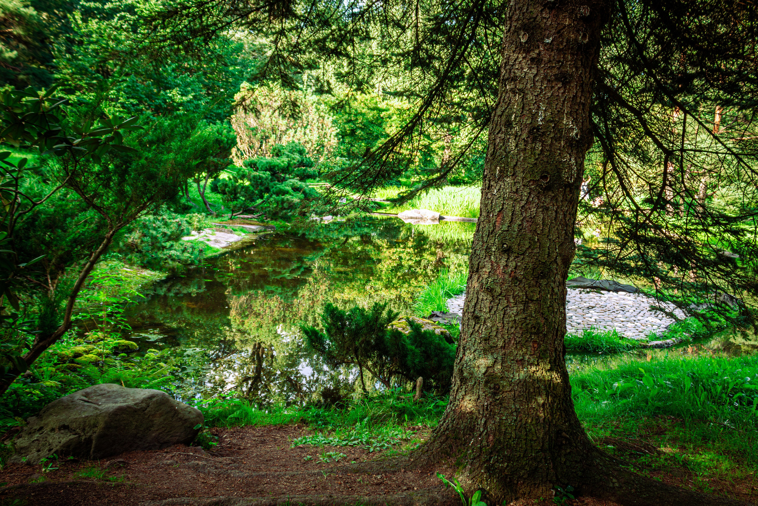 Москва. Фотограф в Новокузнецке