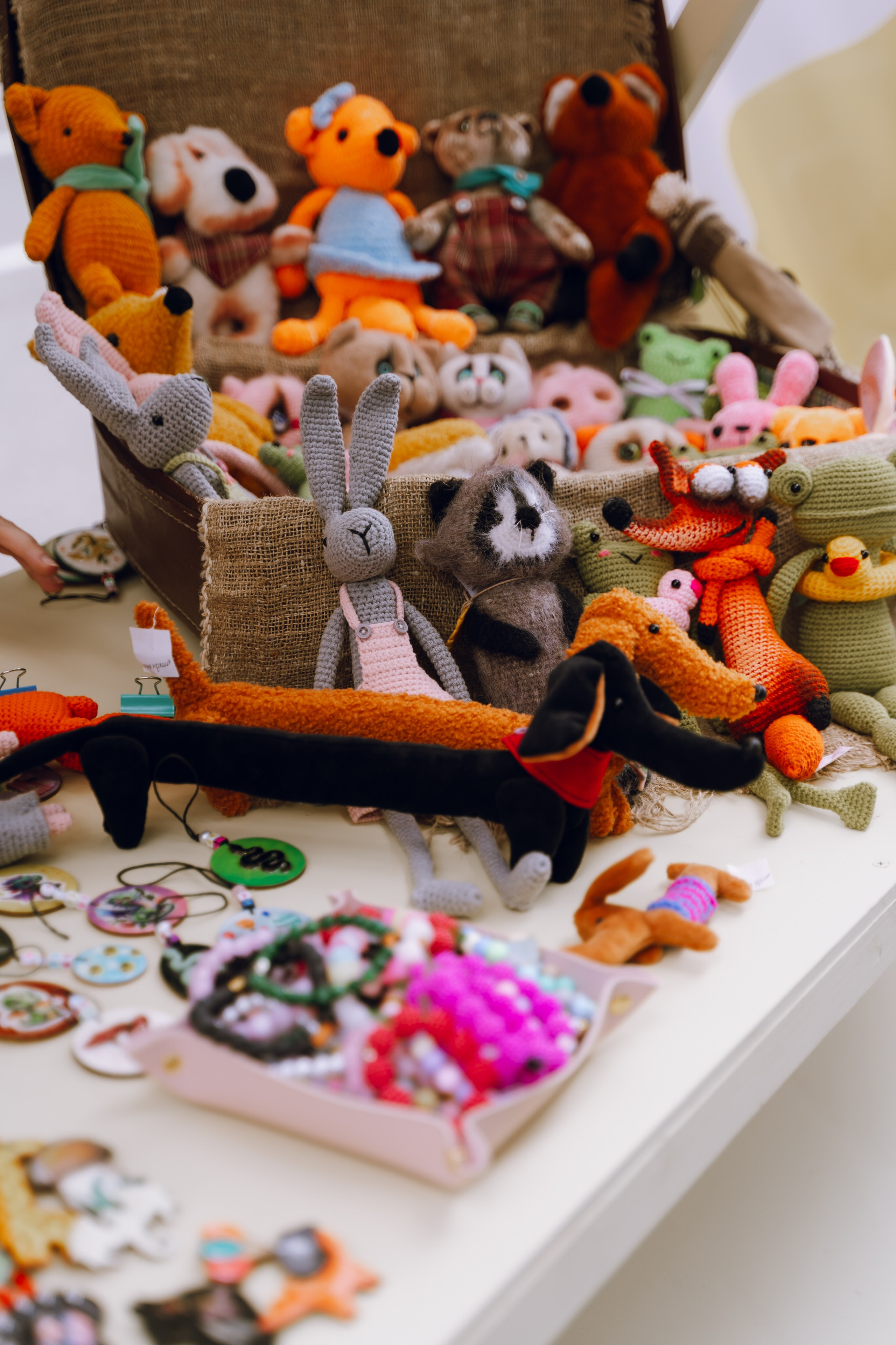 Площадка фестиваля «Мампус и его друзья» в Лесопарке 2025. Фотограф Надежда Погребняк | Рязань | Москва