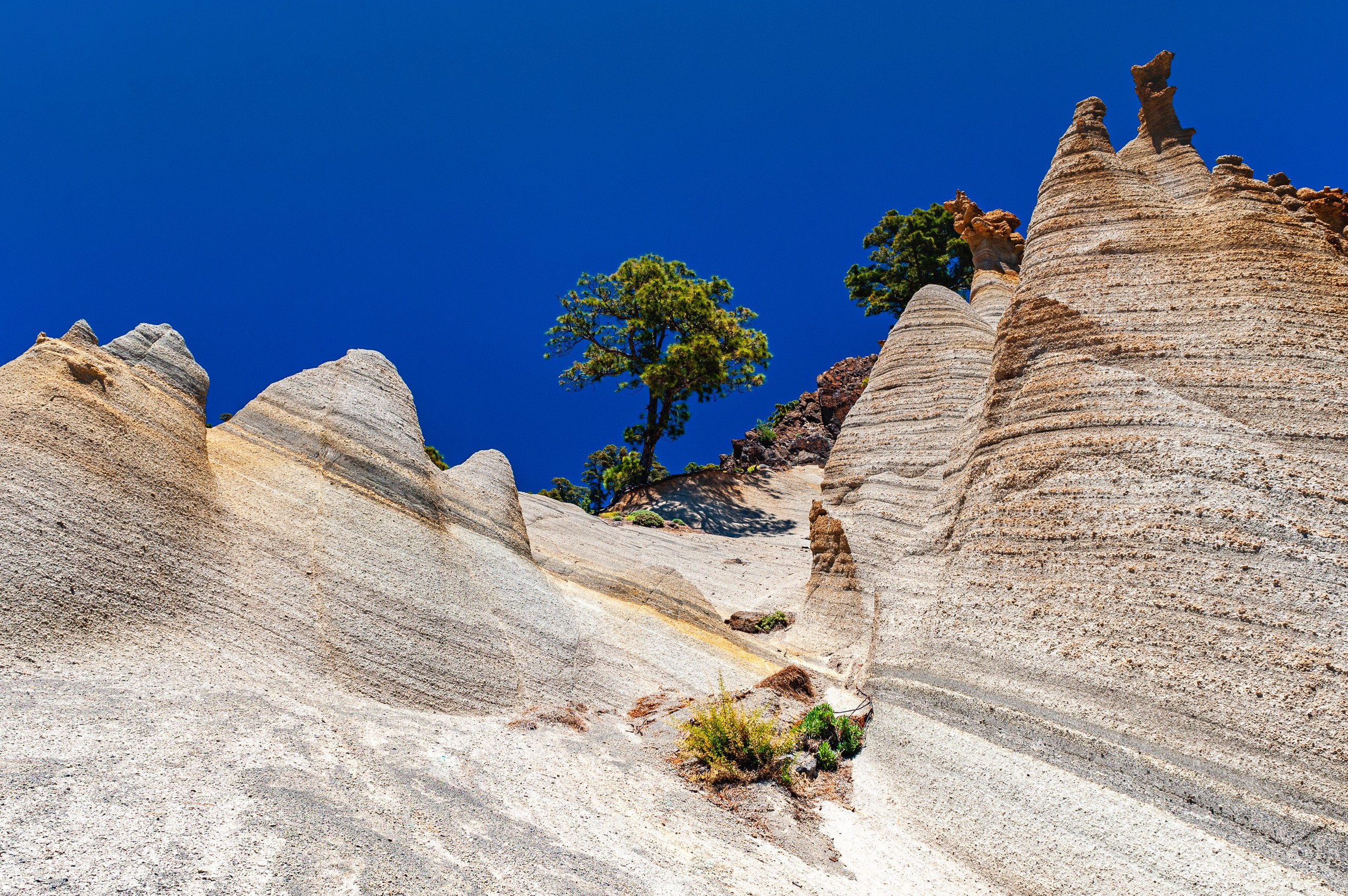 Осязаемая красота. Авторские стильные фотокартины
