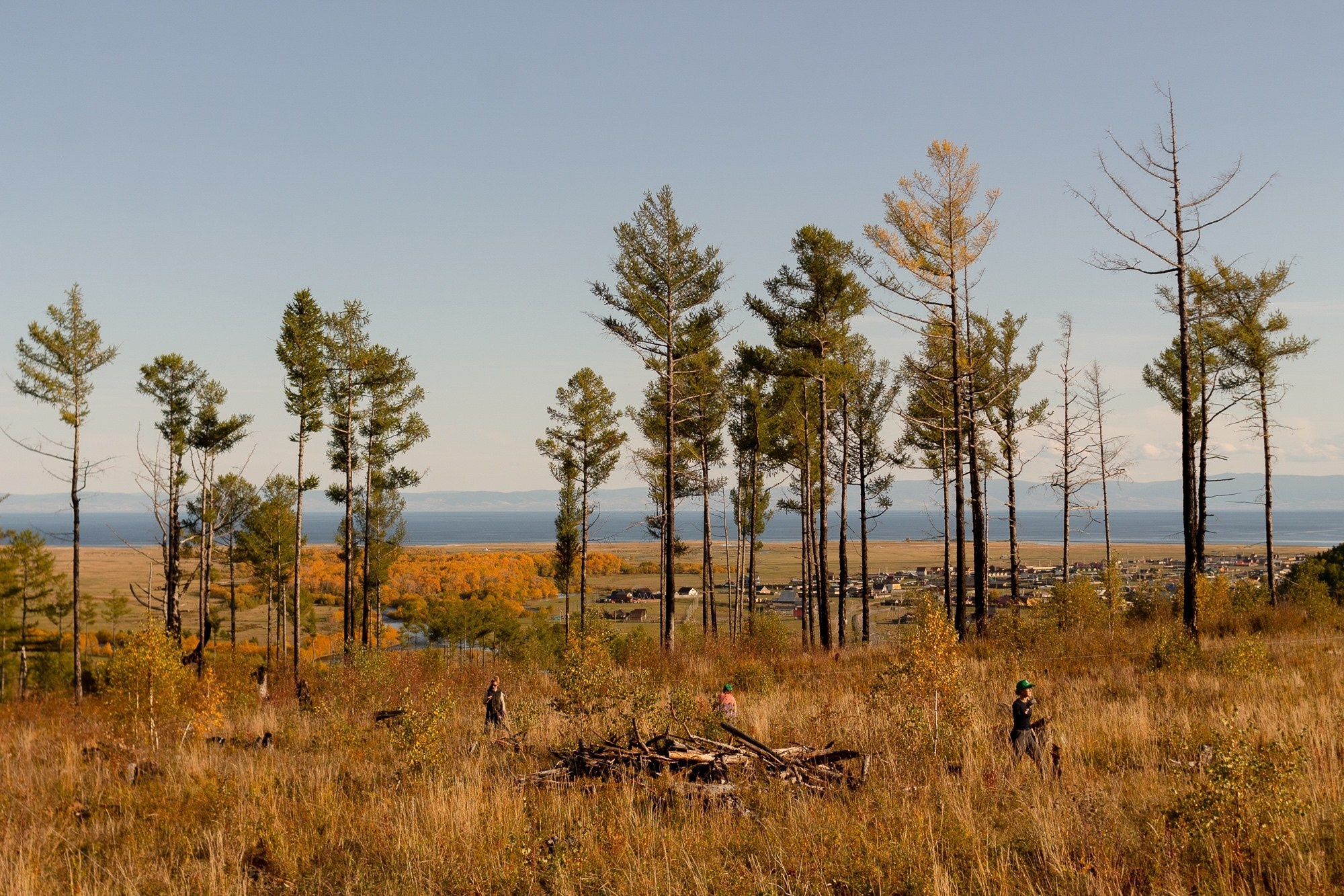 Международный лесоклиматический форум «Экосистема Байкала — 2025» / Подари Планете Жизнь / 5 дней. Борщевская Елизавета / фотограф Иркутск