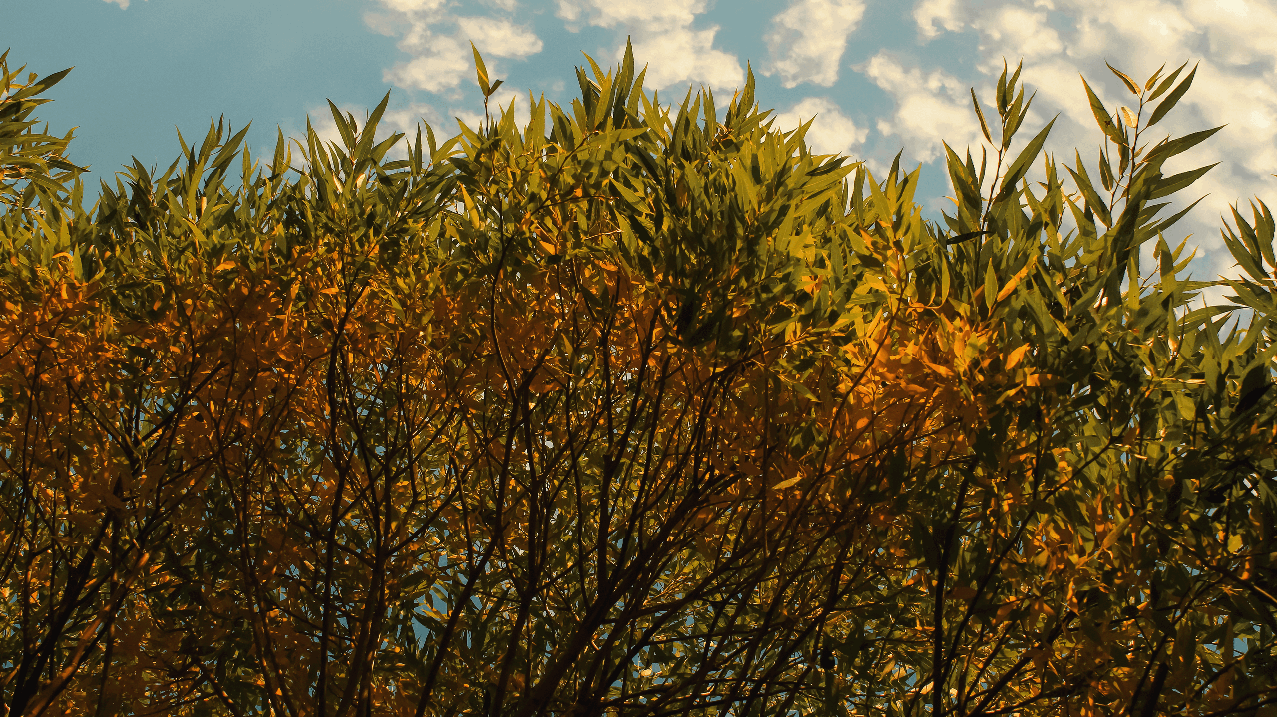 TMN summer '24. Фотограф/дизайнер в Екатеринбурге Хитрый Дмитрий