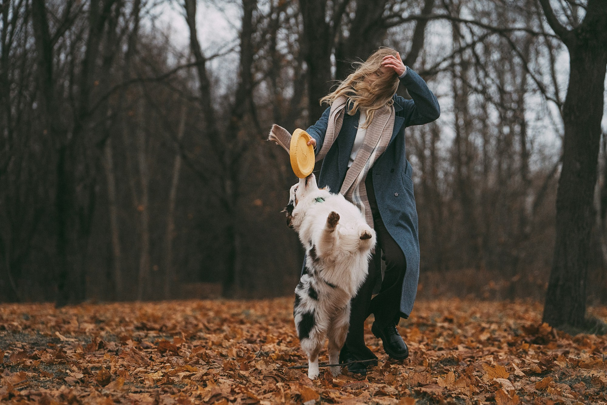 Лиза и Бублик. Фотограф анималист в Москве и Санкт-Петербурге Свиридова Анна