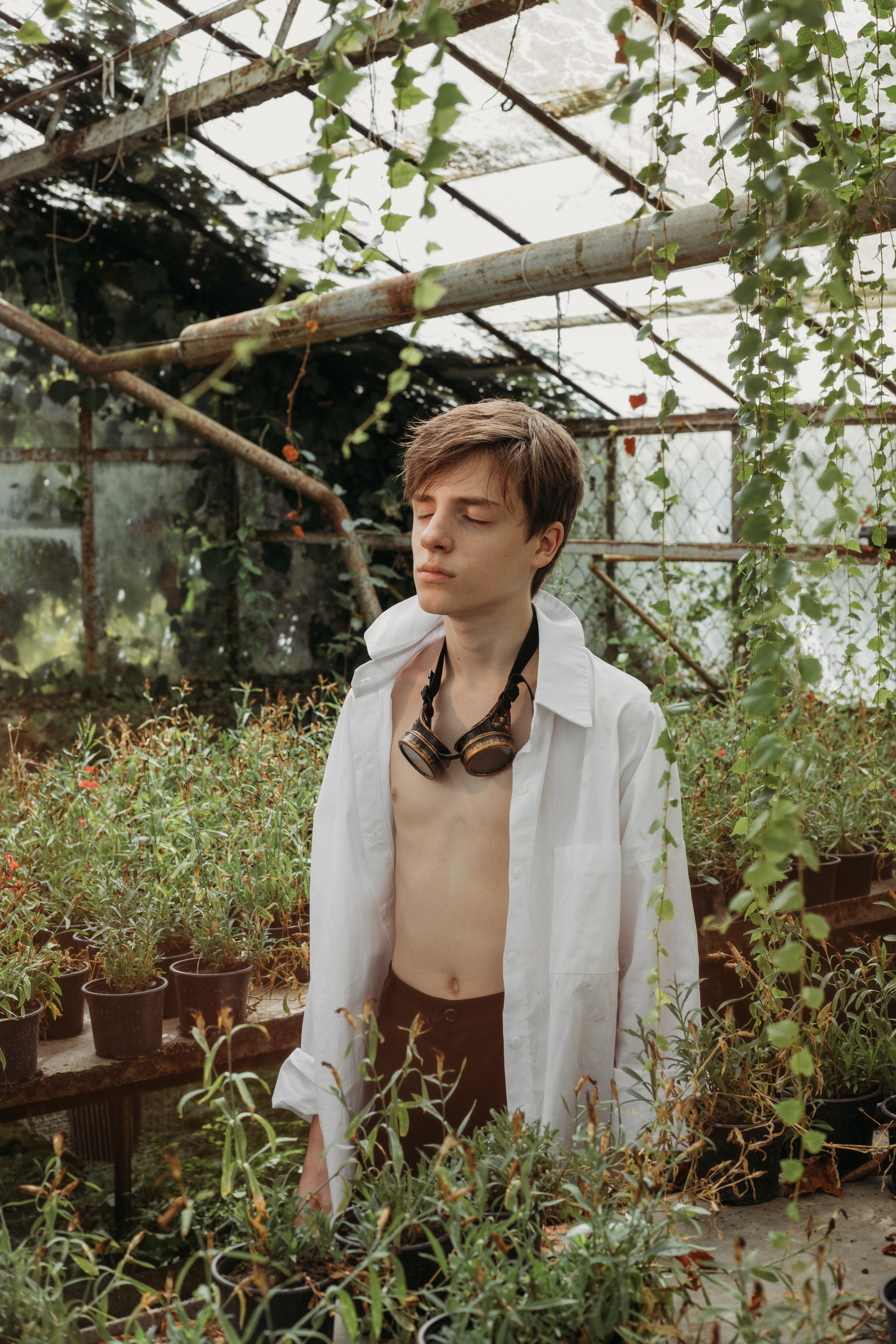 Оранжерея. Репортажный фотограф в Сочи Екатерина Вежливцева