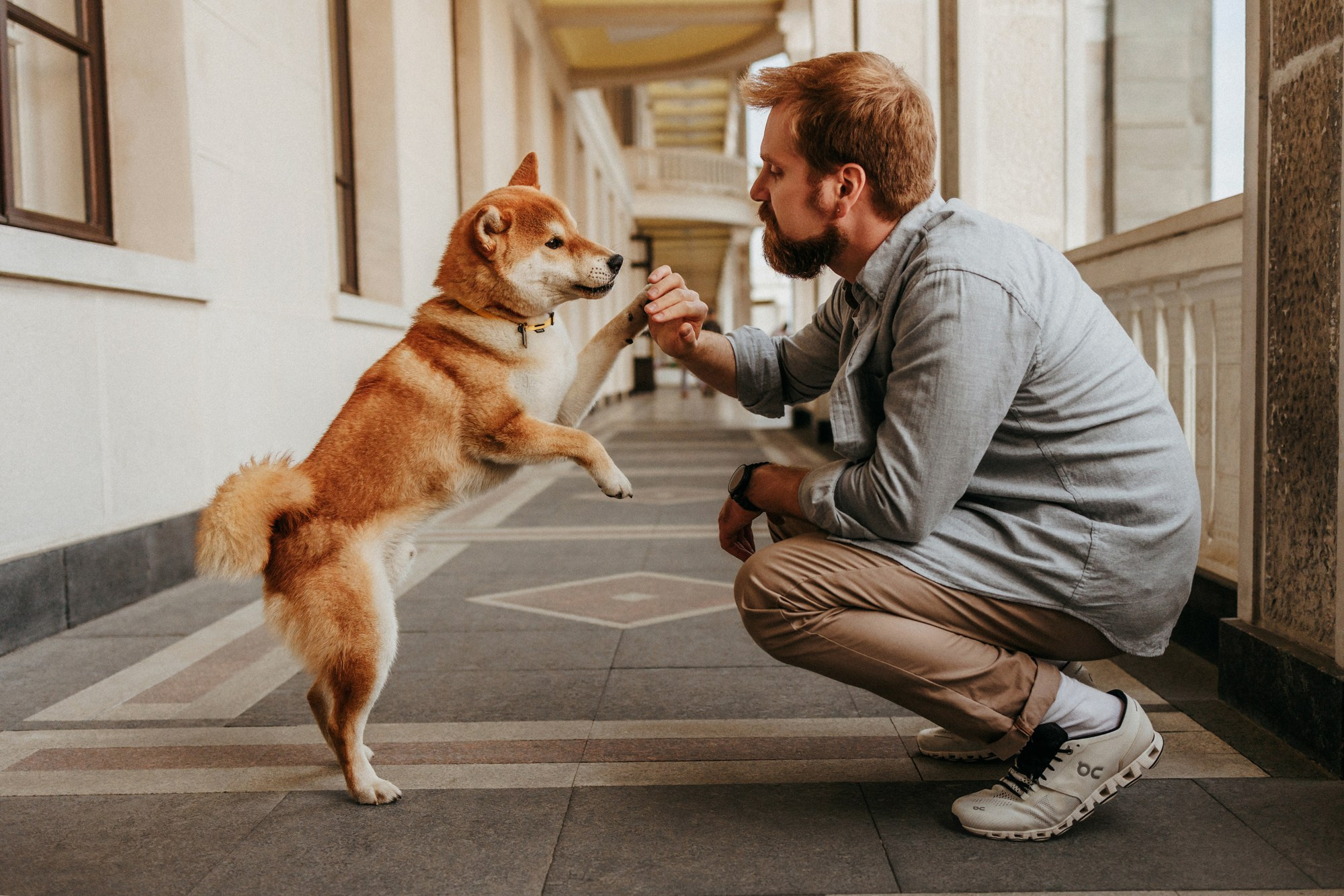 Аня, Влад и Ики. Фотограф-анималист Елена Радченко, Москва