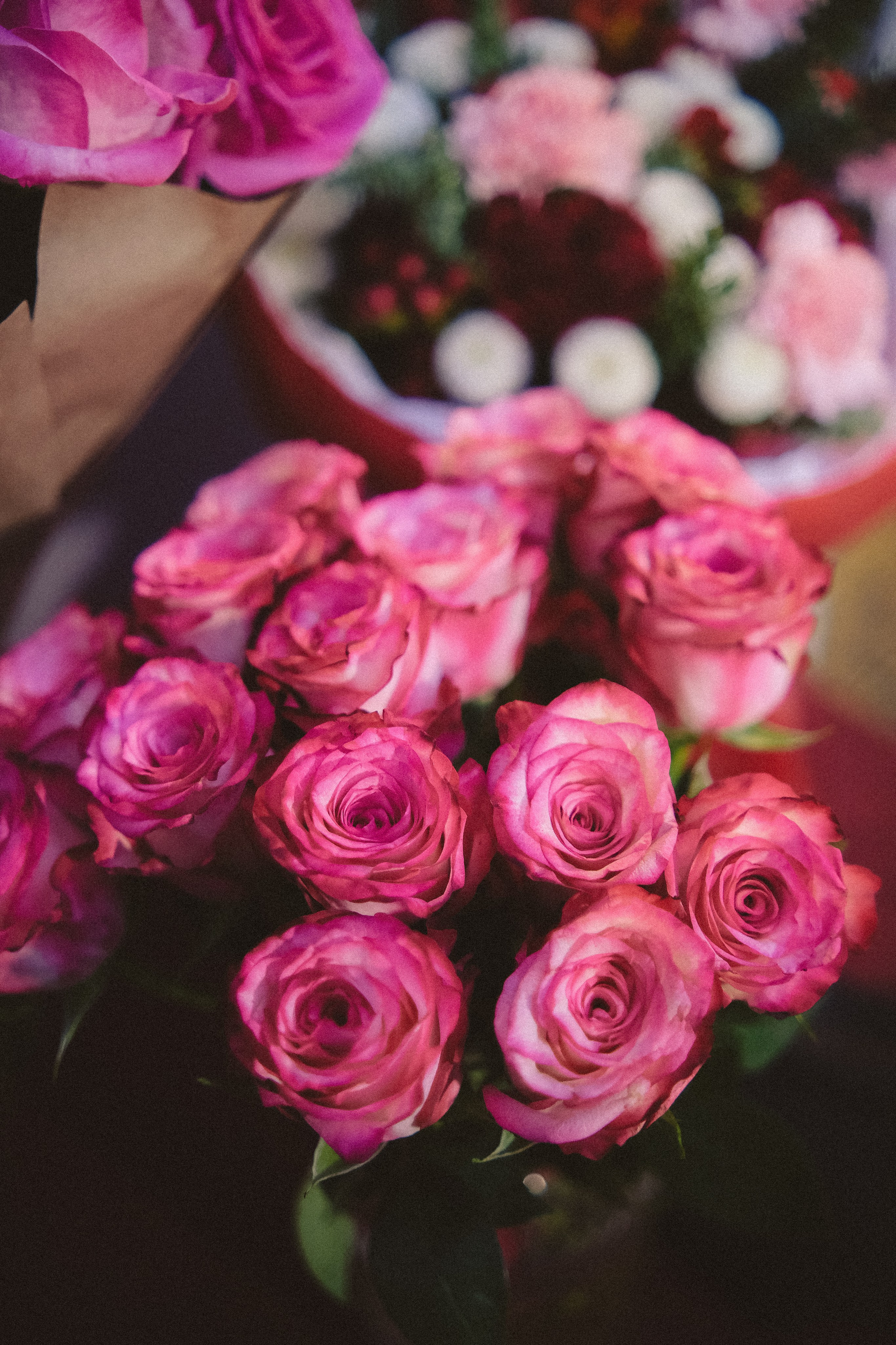 Rubin loft Др Лидии. Phdkvmr.ru