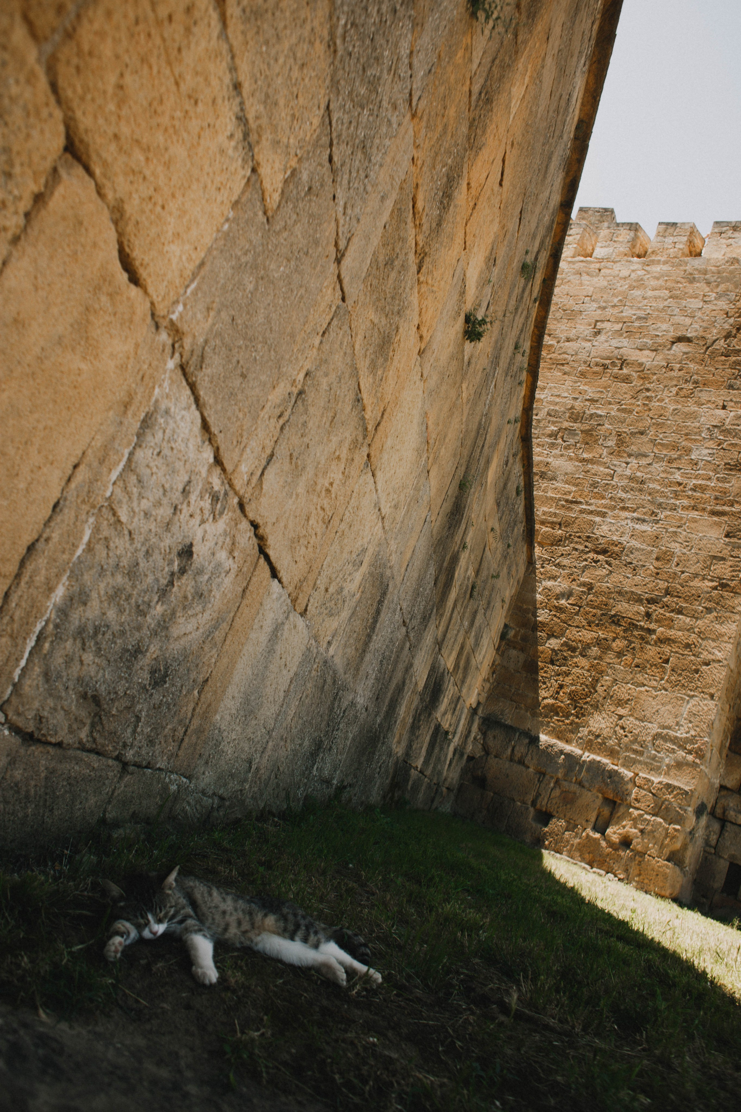 Дагестан. Чечня. 2024. Фотограф в Нижнем Новгороде