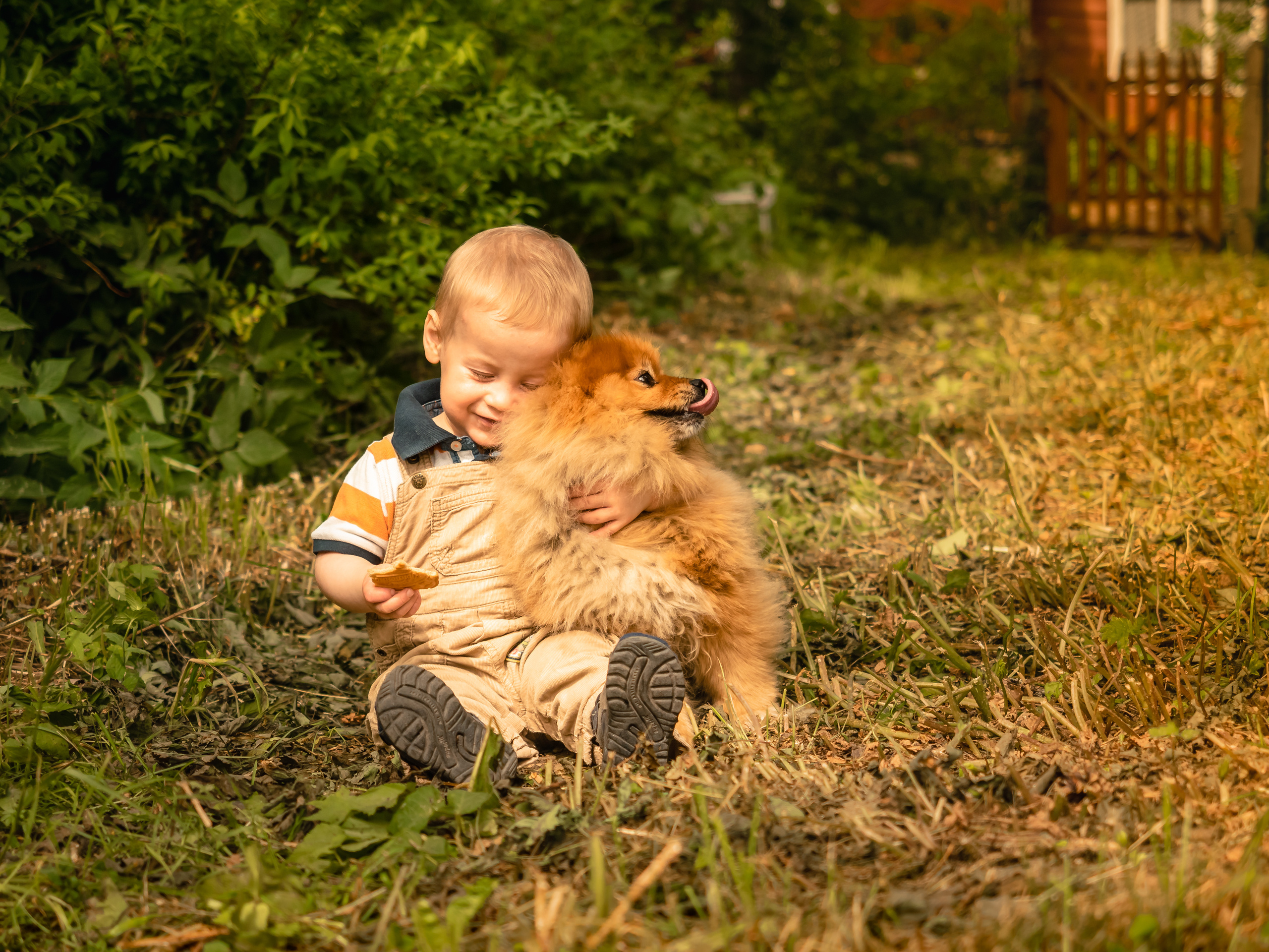 Фотосессия цена. Отличные фотографии своих близких, своего бизнеса или даже себя. СПб