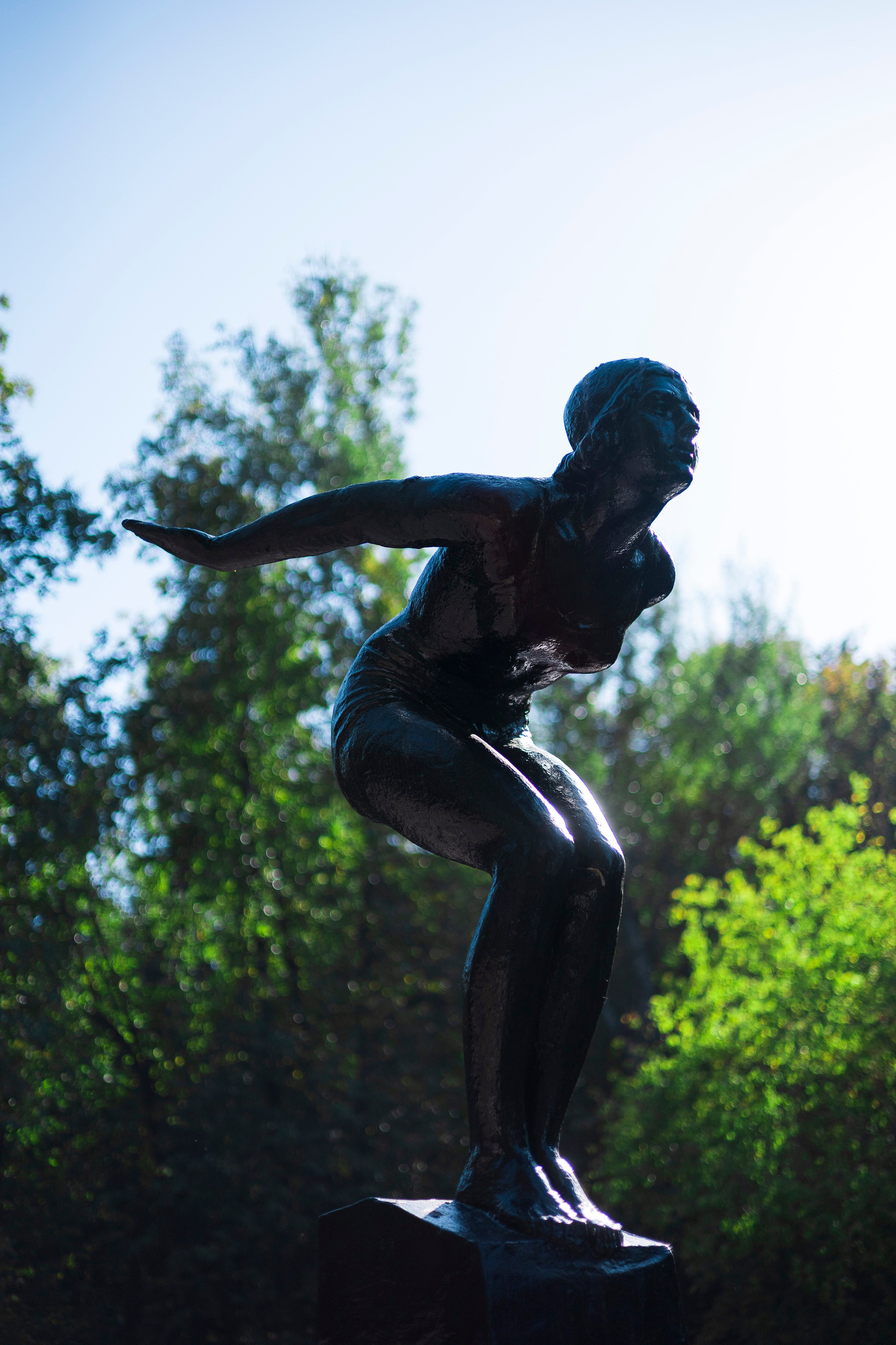 Нескучный сад