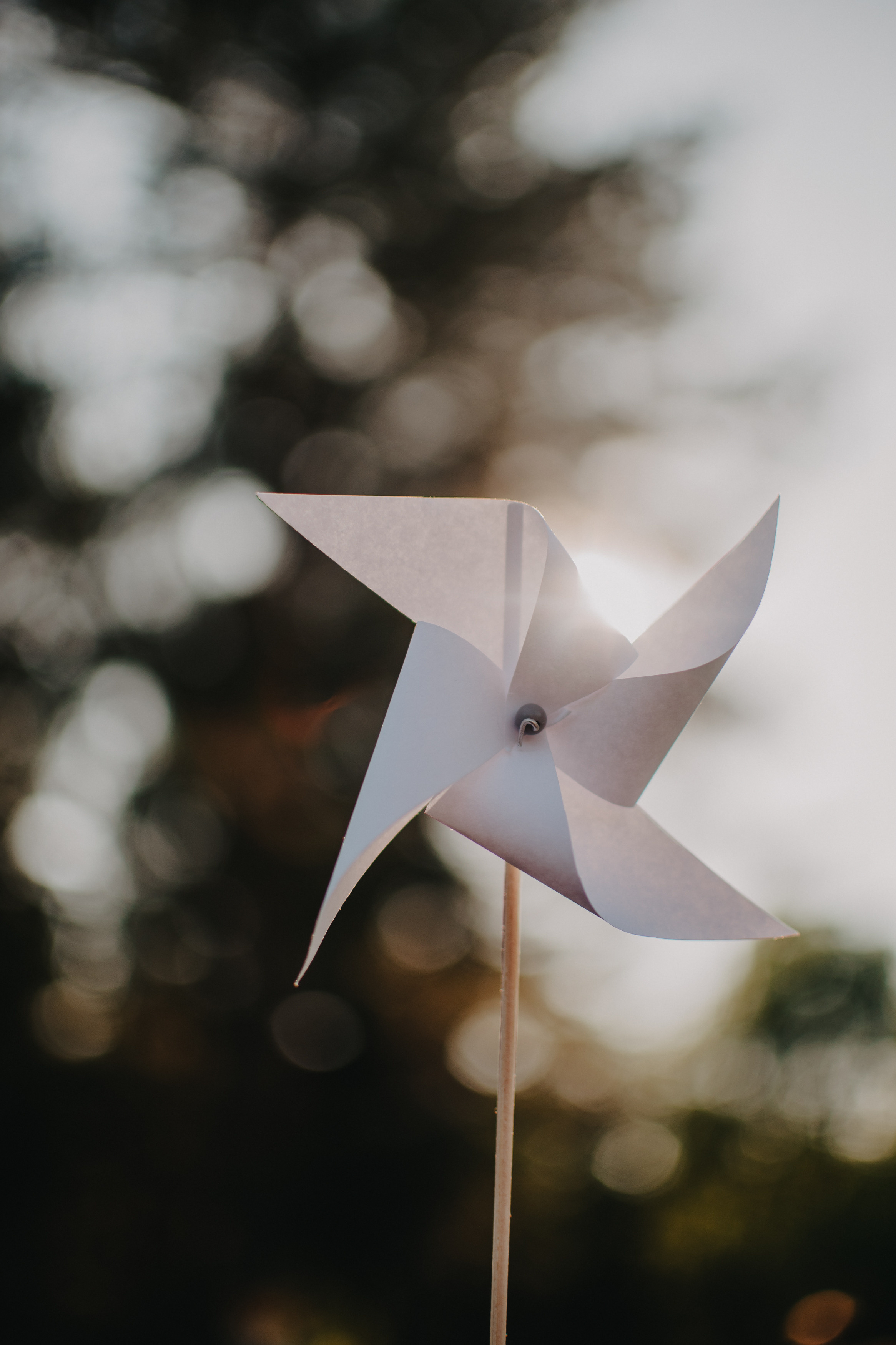 День ветра. Контент фотограф Илья Урс