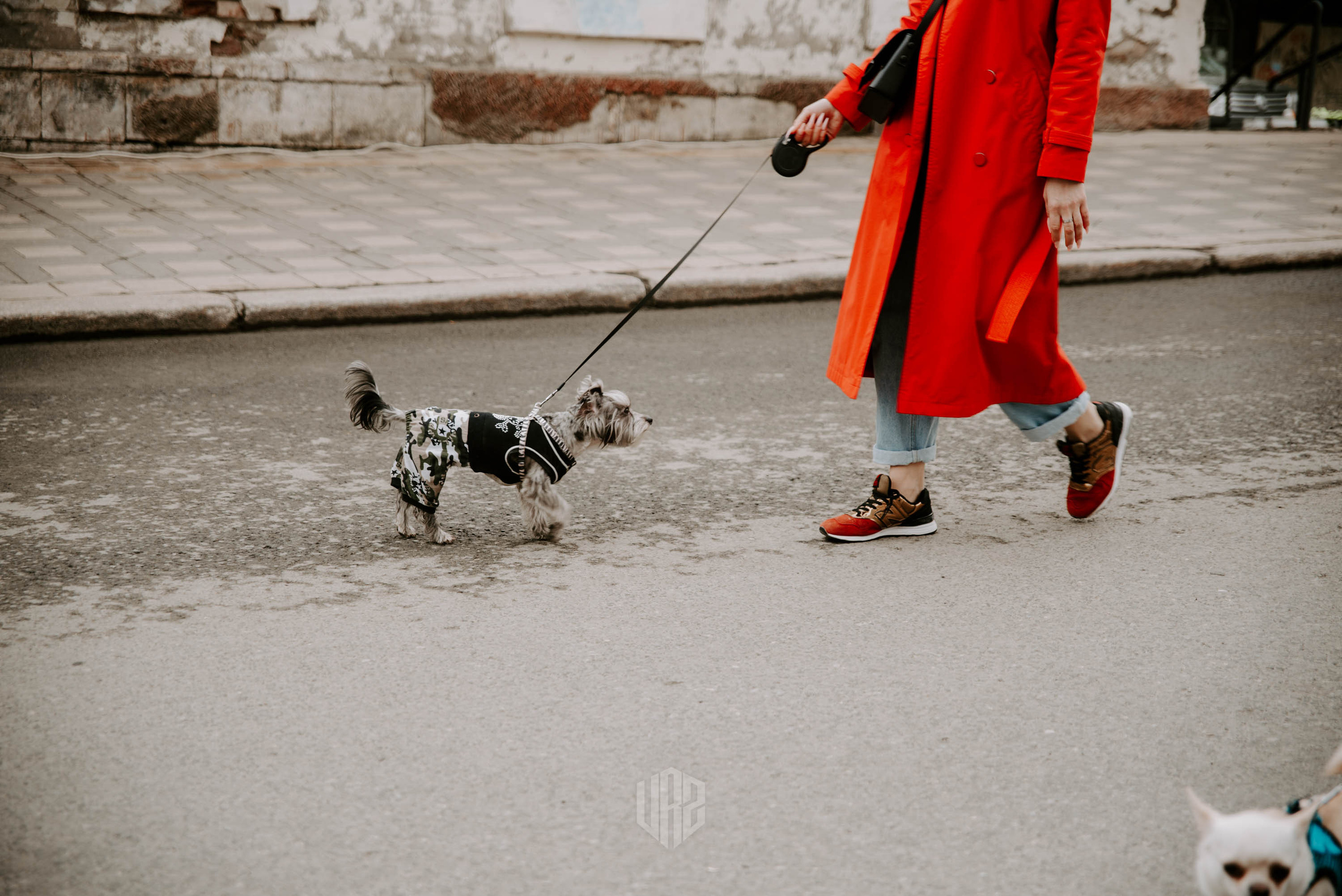 Ветер на Спасской. Контент фотограф Илья Урс