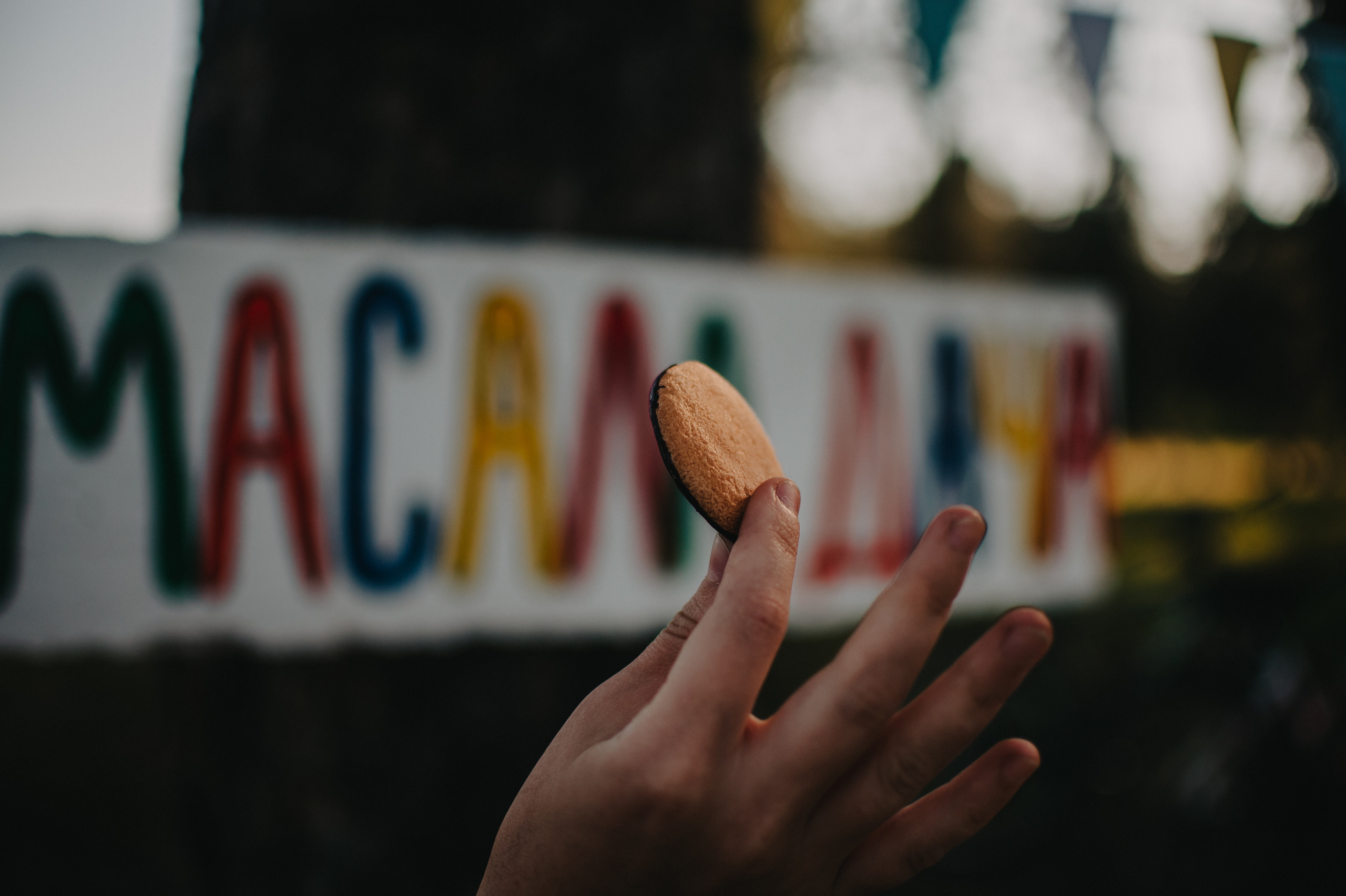 День ветра. Контент фотограф Илья Урс