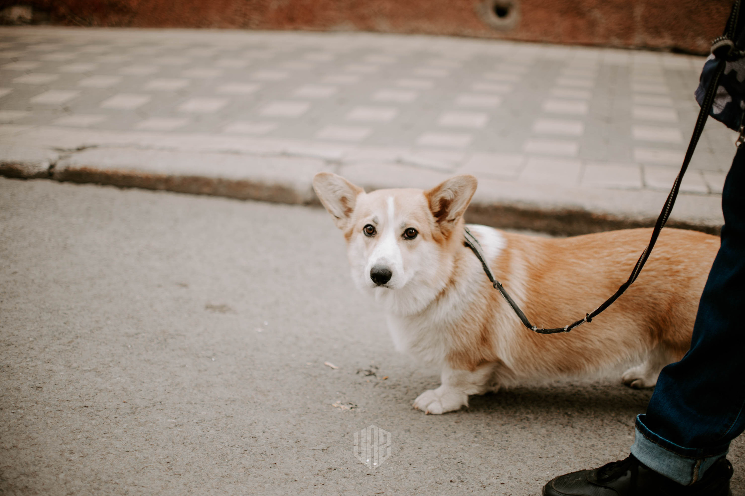 Ветер на Спасской. Контент фотограф Илья Урс