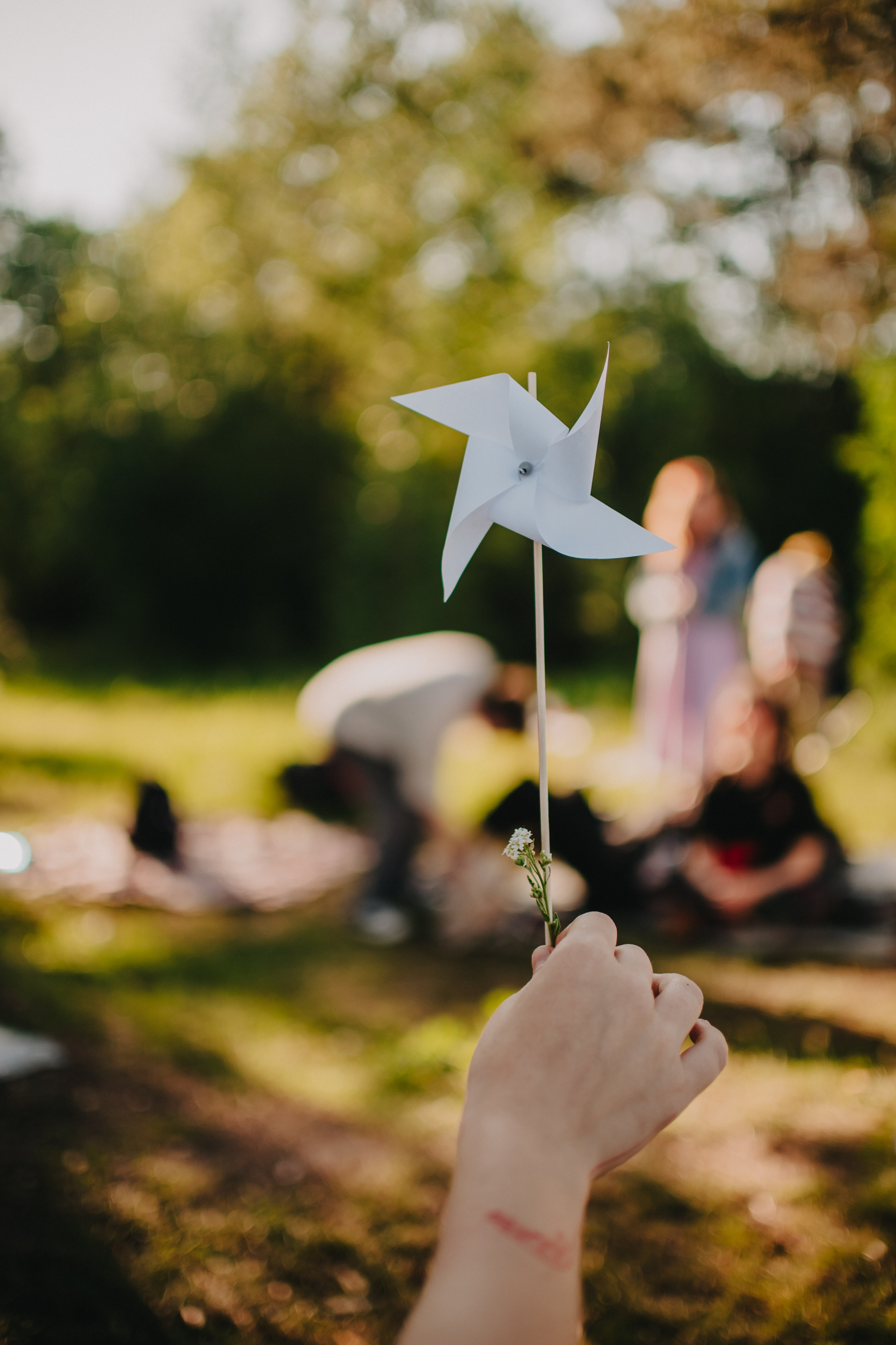 День ветра. Контент фотограф Илья Урс