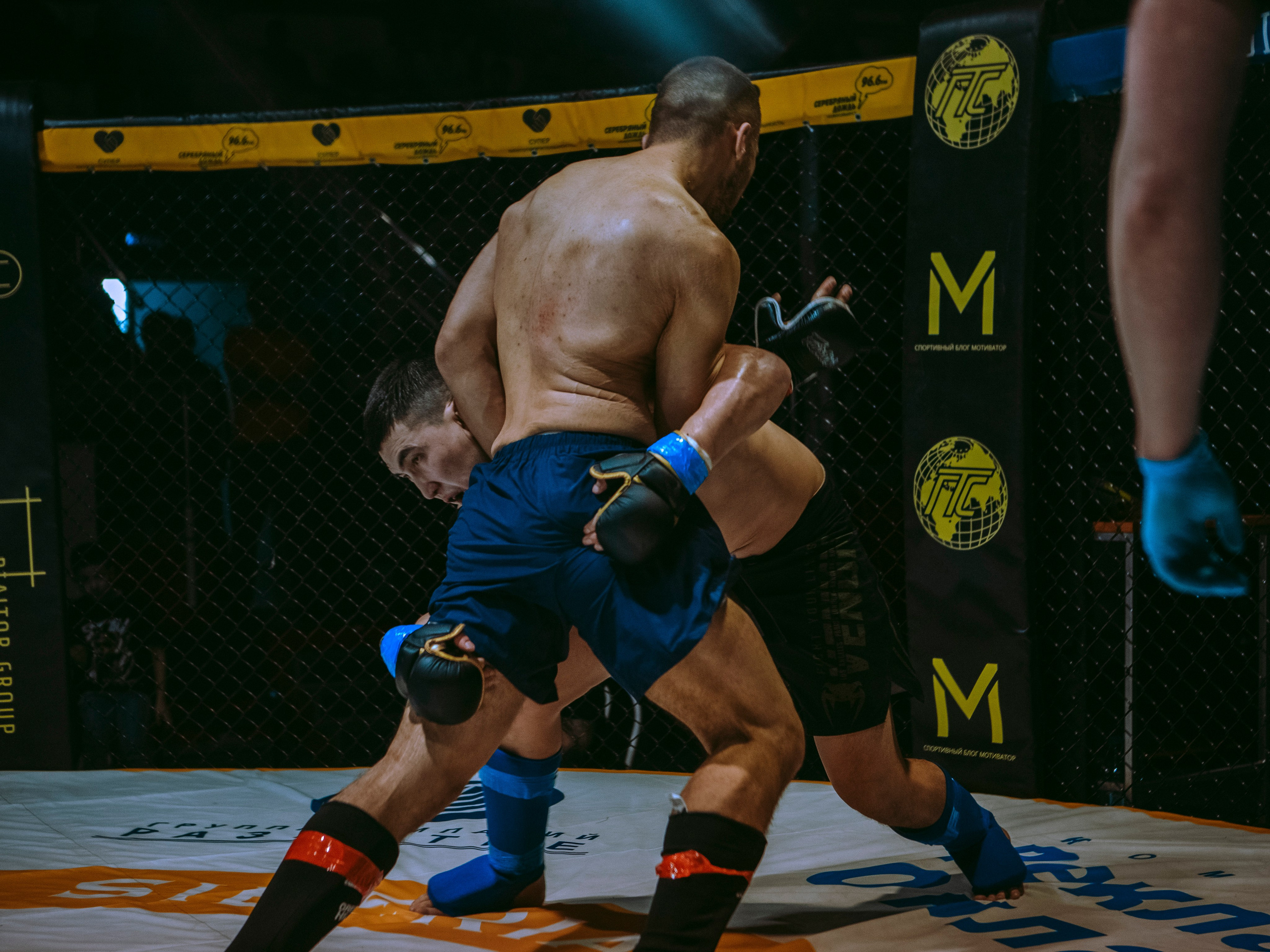 SFL 17 | Siberian Fighting League. Портретный фотограф в Москве Дарья Цезария