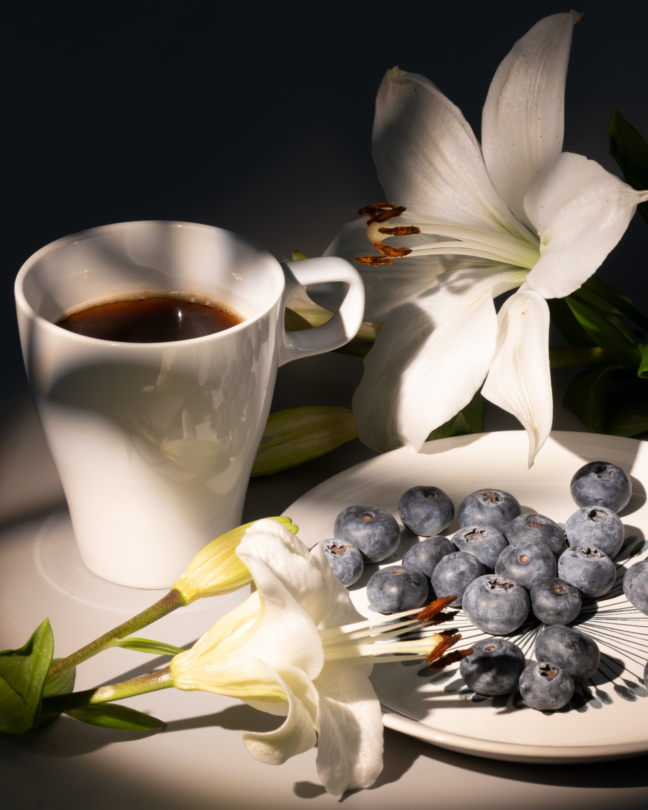 Черника. Фотограф Коробова Екатерина