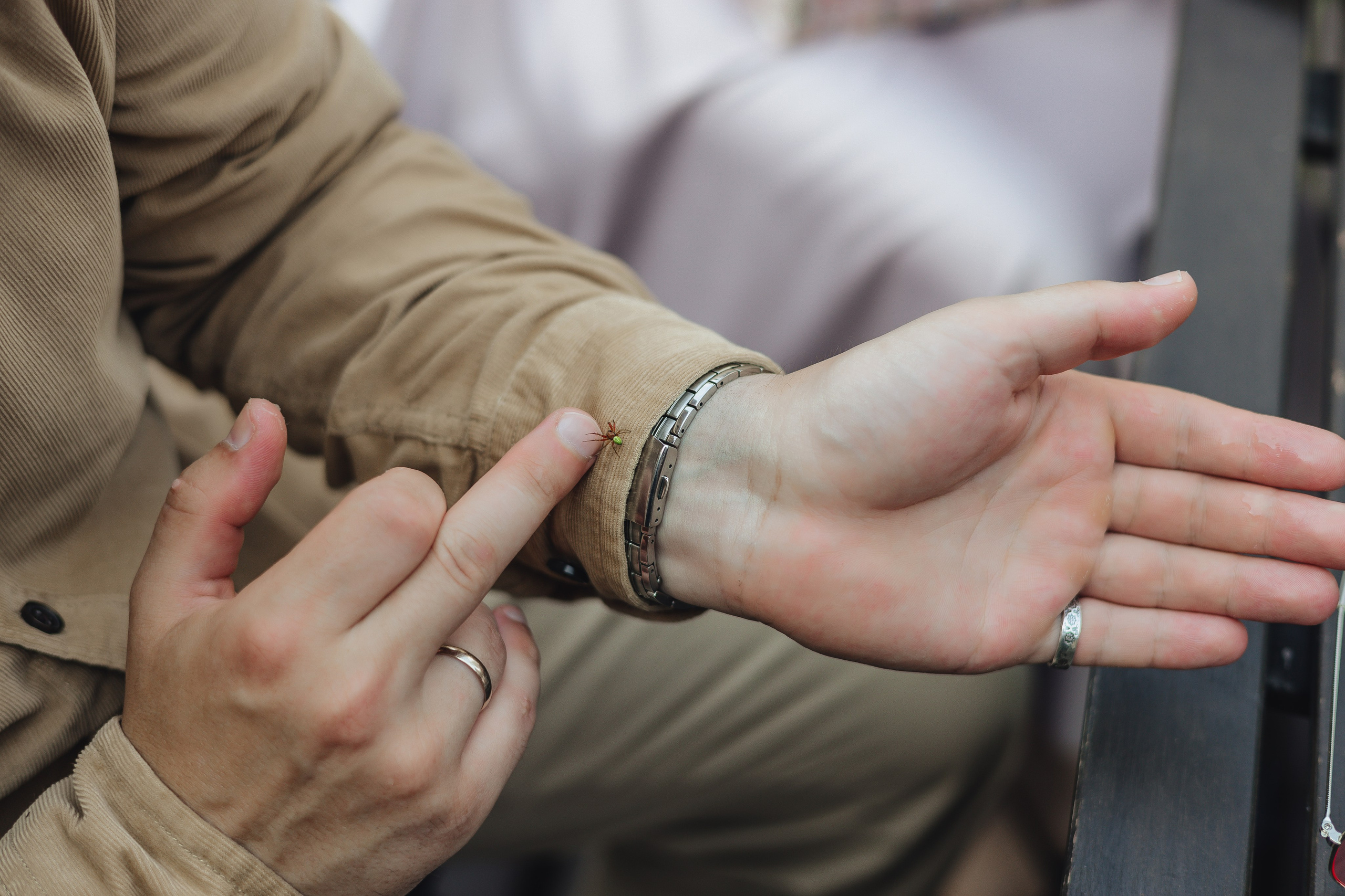 Настя и Вова. Свадебный и семейный фотограф Пушкин Царское Село СПБ Питер Санкт-Петербург и Рязань Ольга Козлова