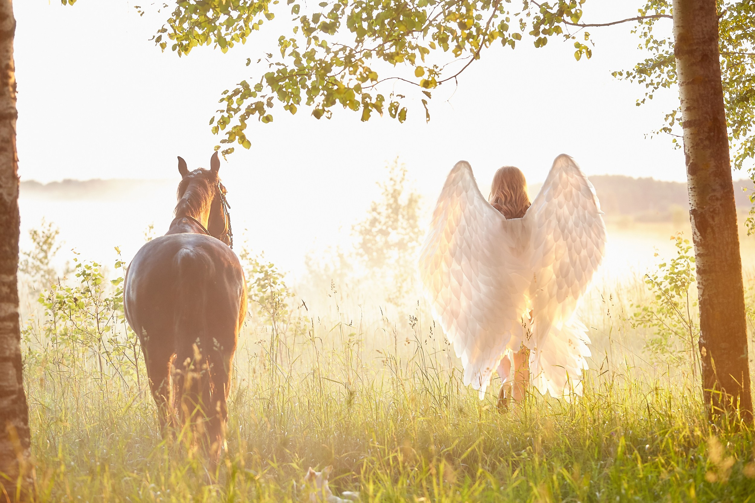 Фотосессия с лошадьми Фотограф Михаил Семенов