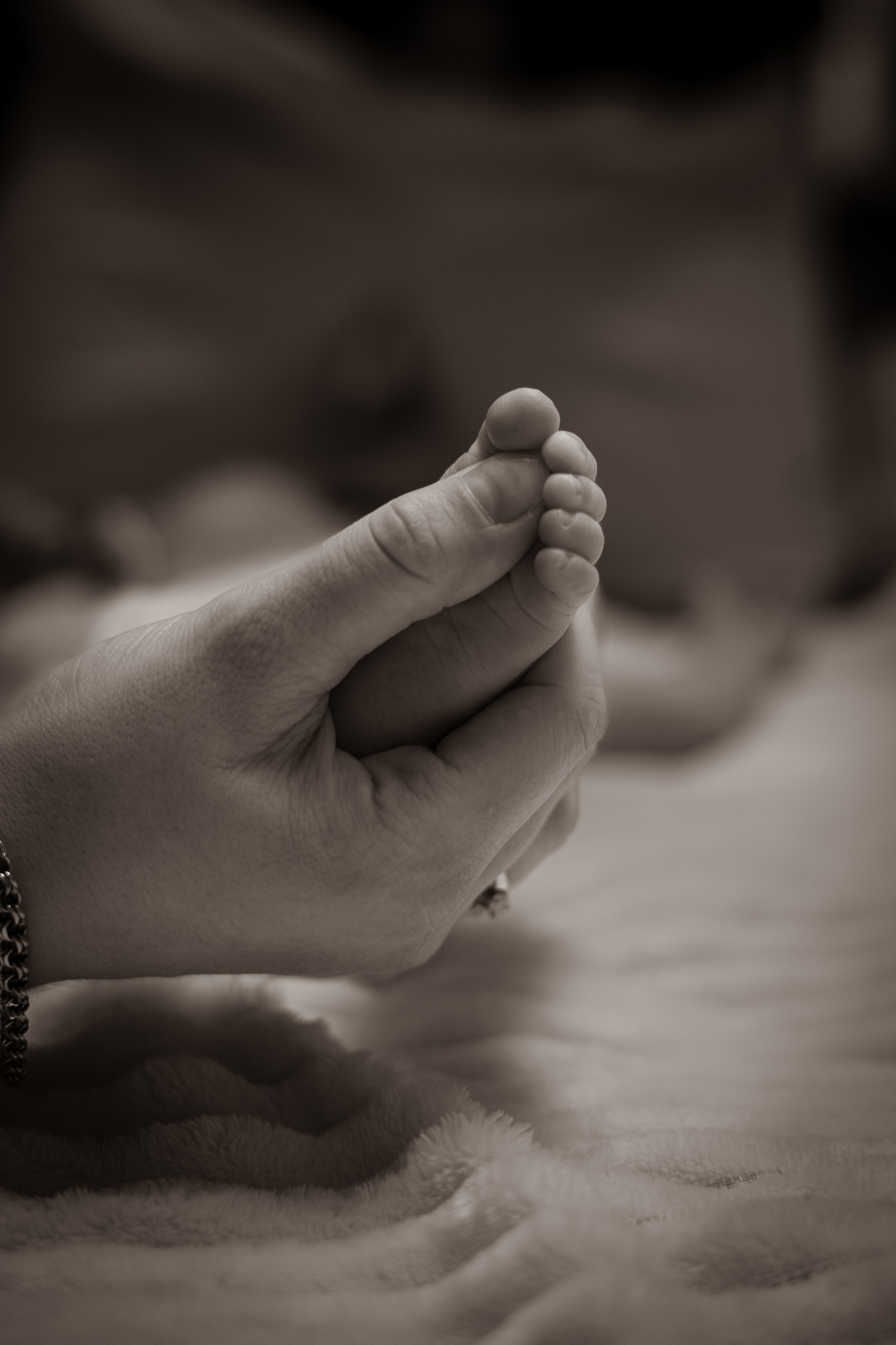 Семейные фото-съёмки. Видеограф и Фотограф в Красноярске