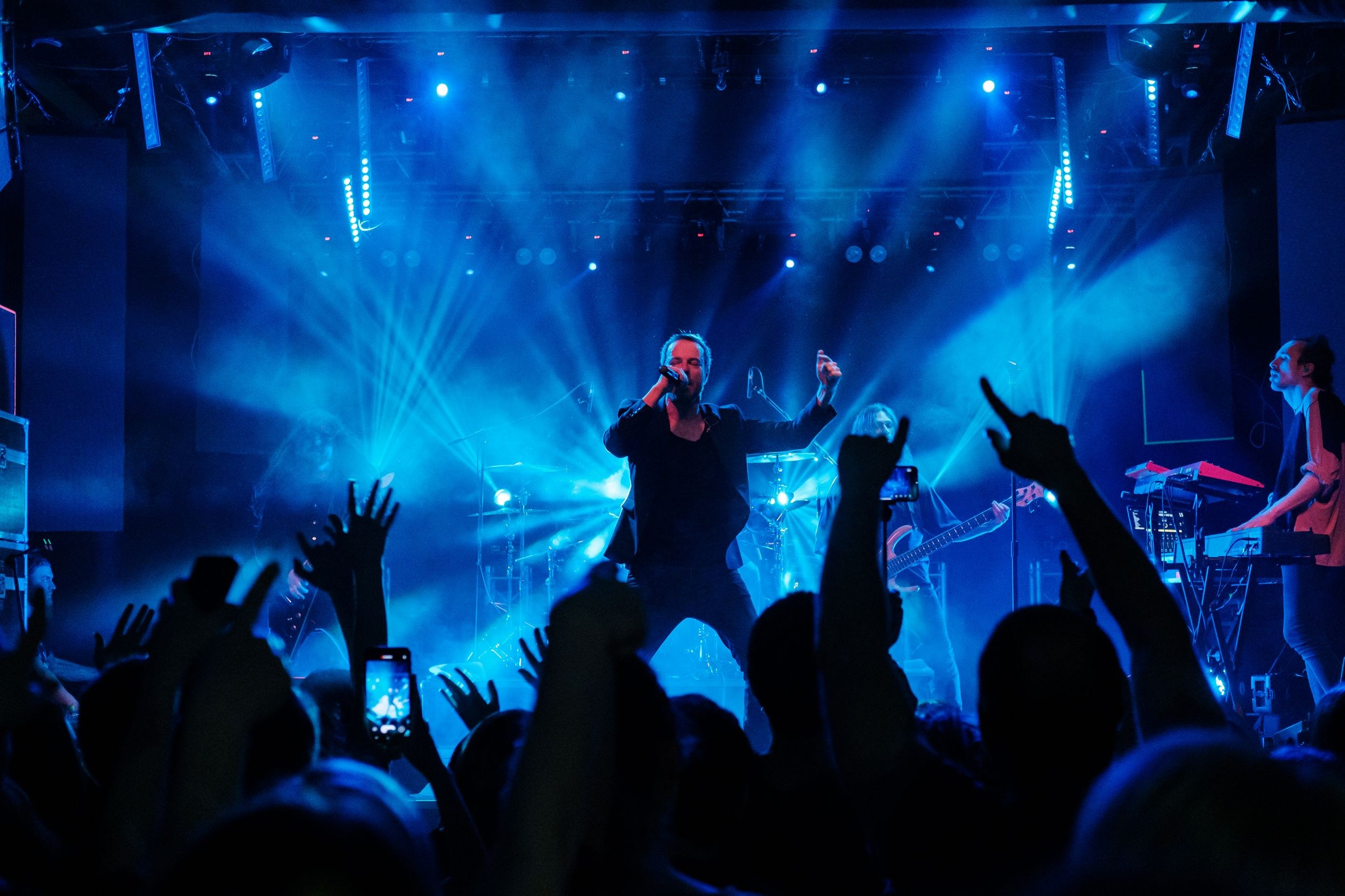 Animal ДжаZ. Репортажный фотограф Алексей Пирязев