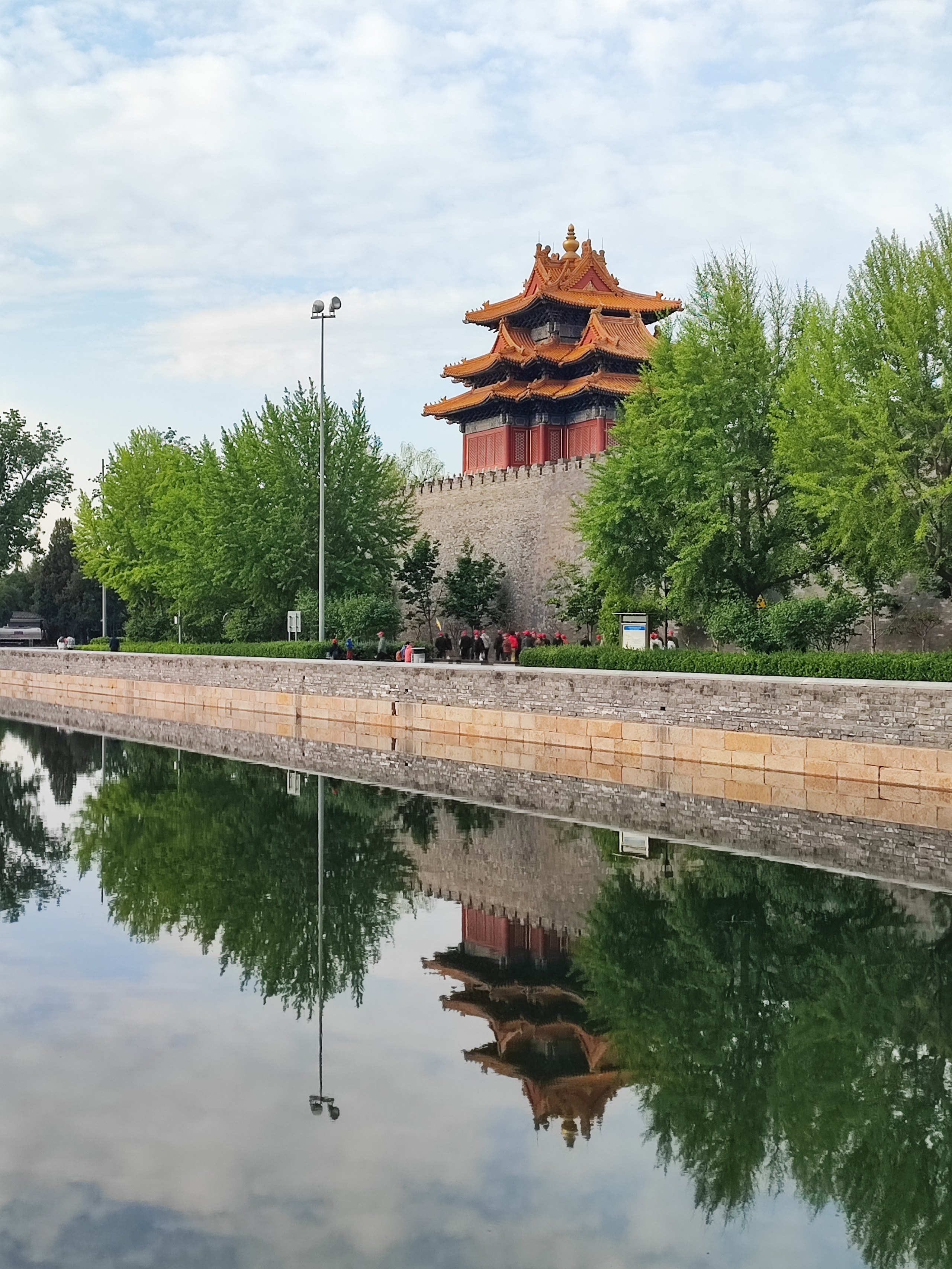 Намобилкус китайский. Репортажный фотограф Алексей Пирязев