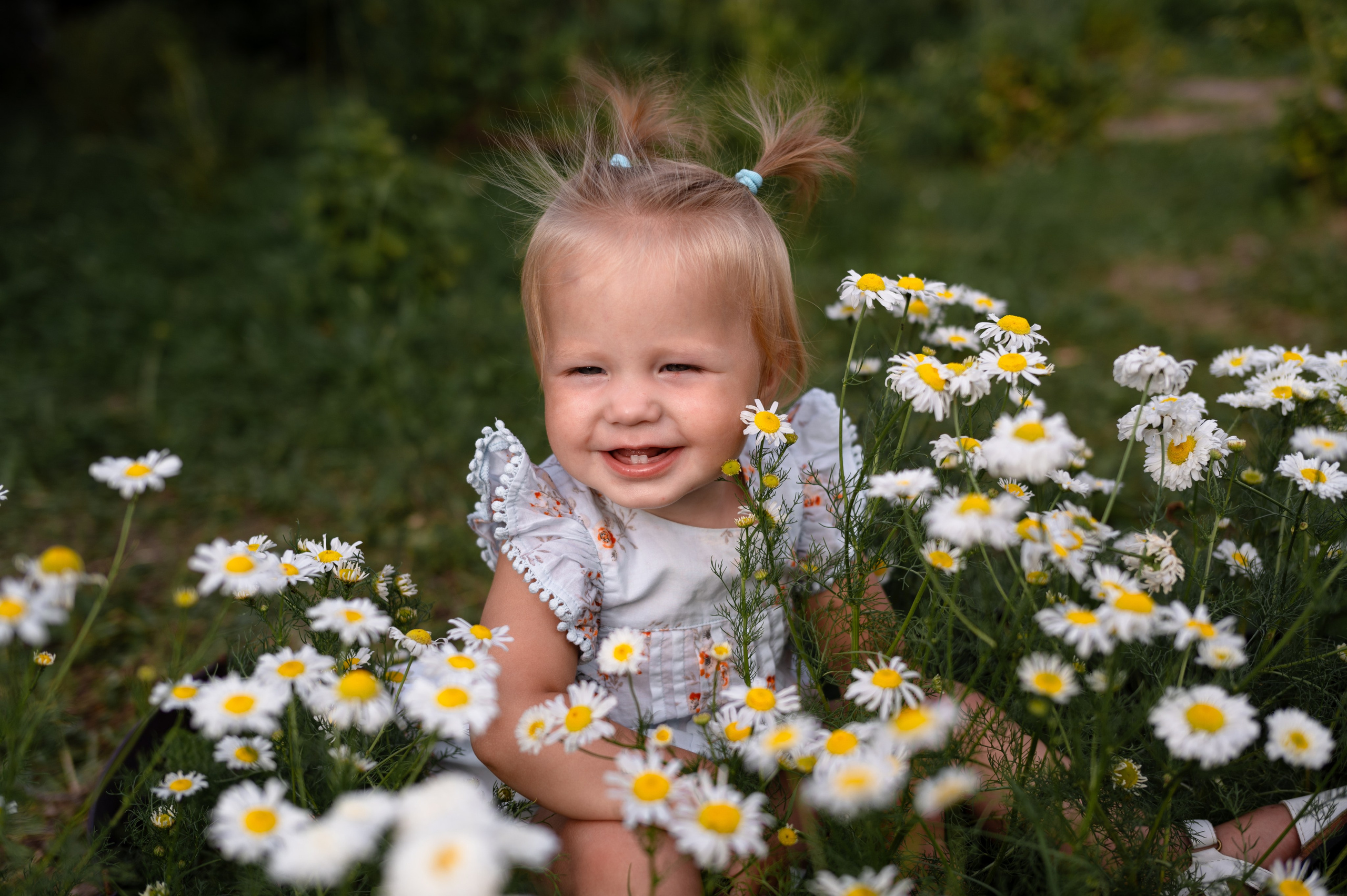Ромашки и утята. Главная