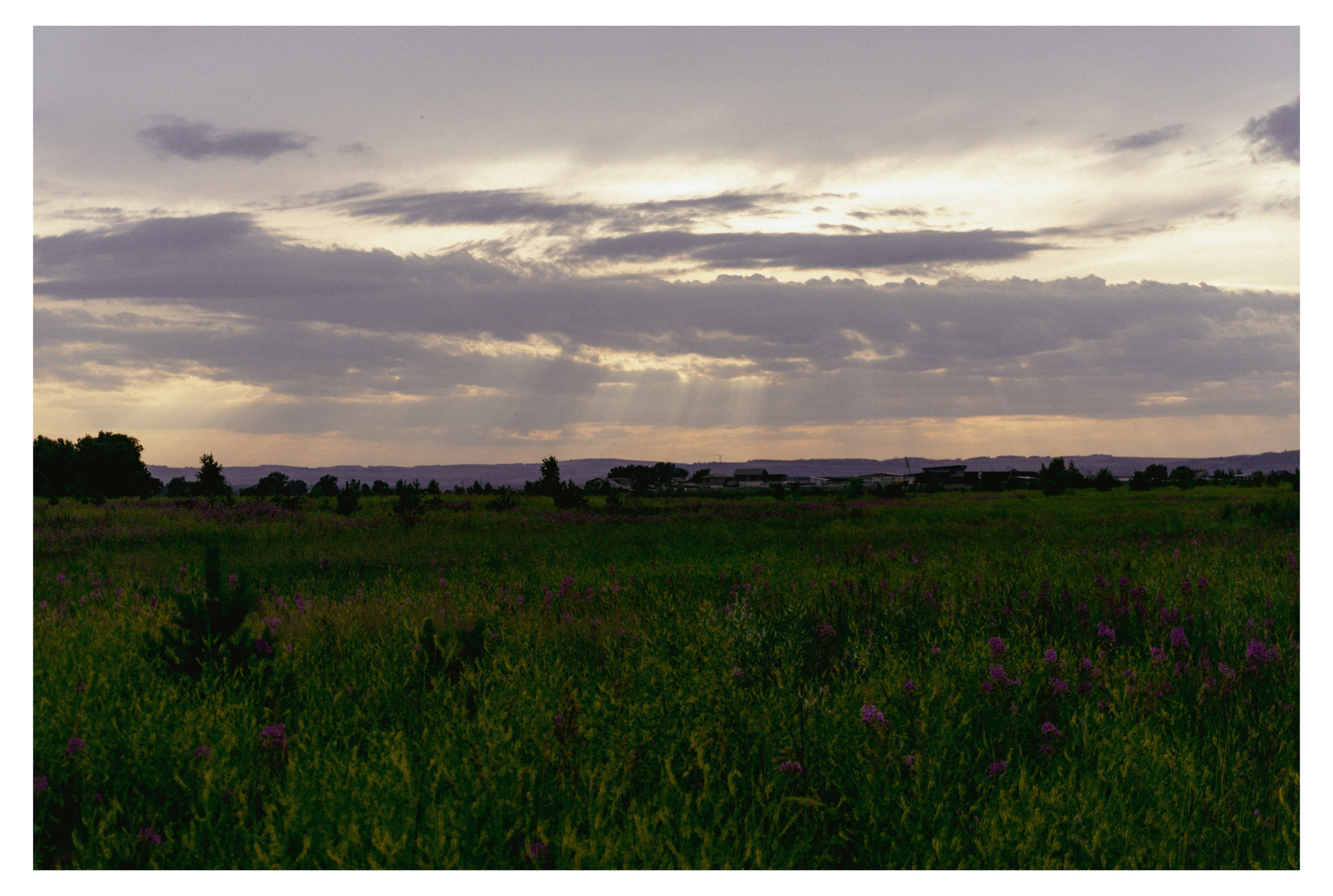 29.06.2025 | Сосновоборск. Kuznetsov | Фотограф в Красноярске