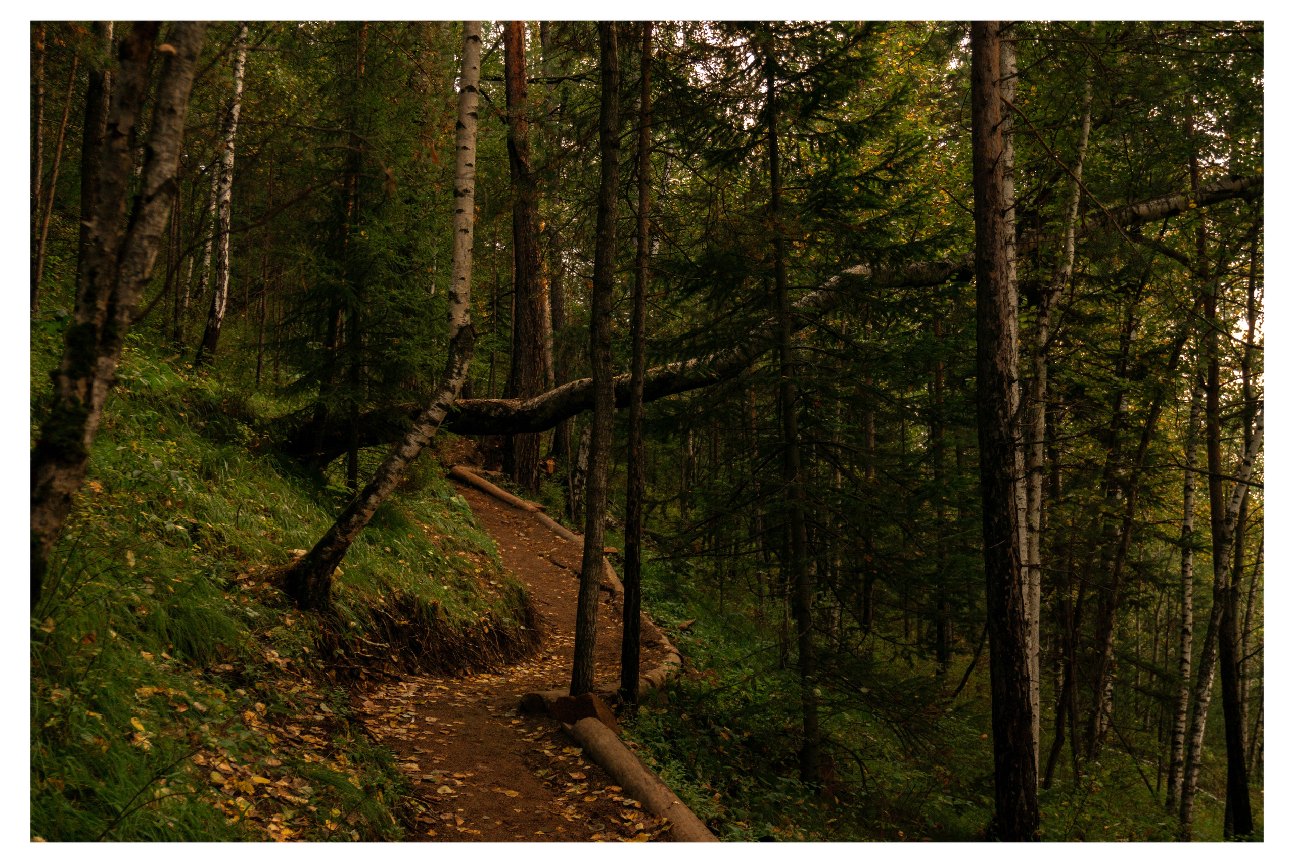 28.08.2025 | Красноярск. Kuznetsov | Фотограф в Красноярске