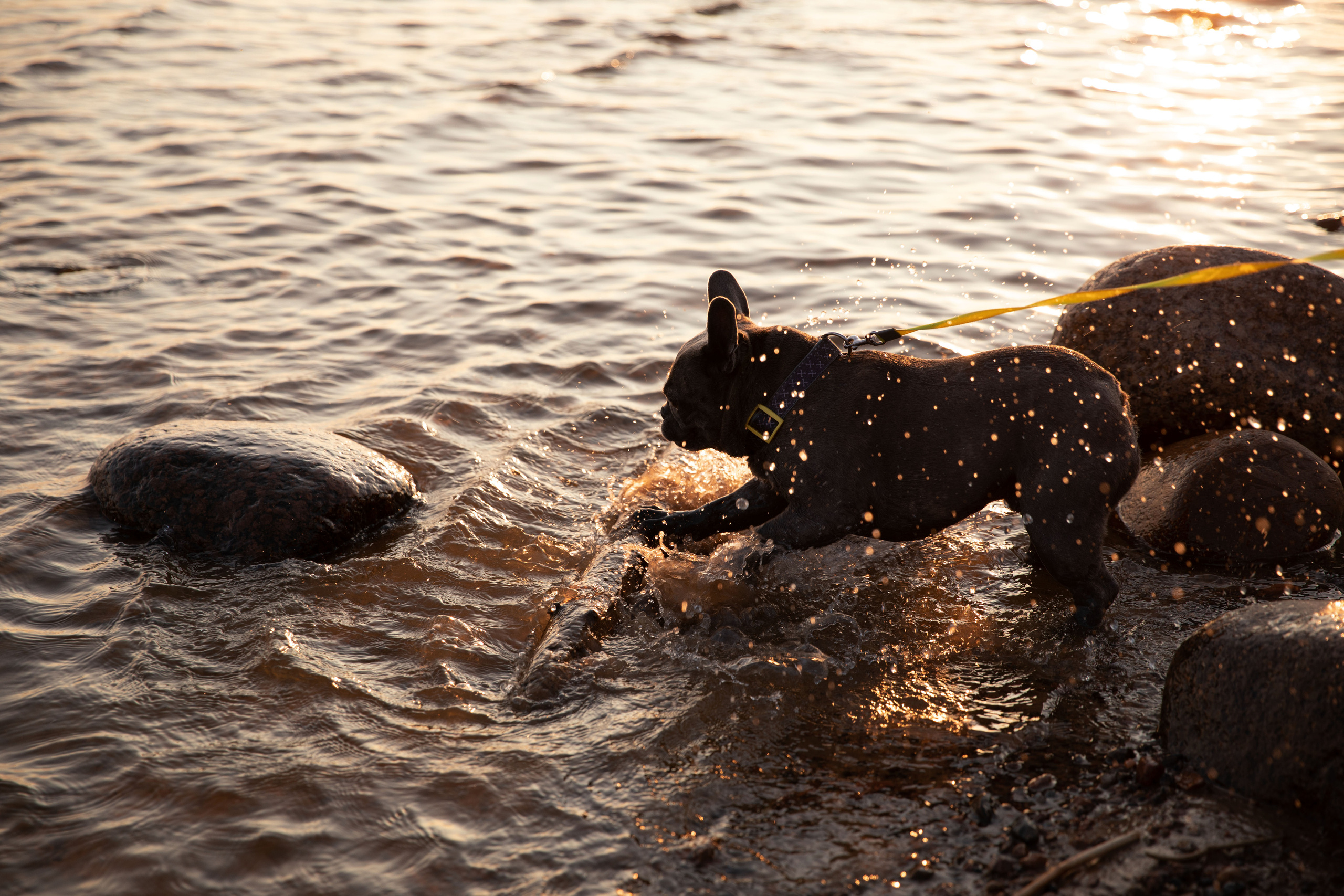 Прогулка на Финском заливе. Семейный и детский фотограф в Санкт-Петербурге Юлия Суркова